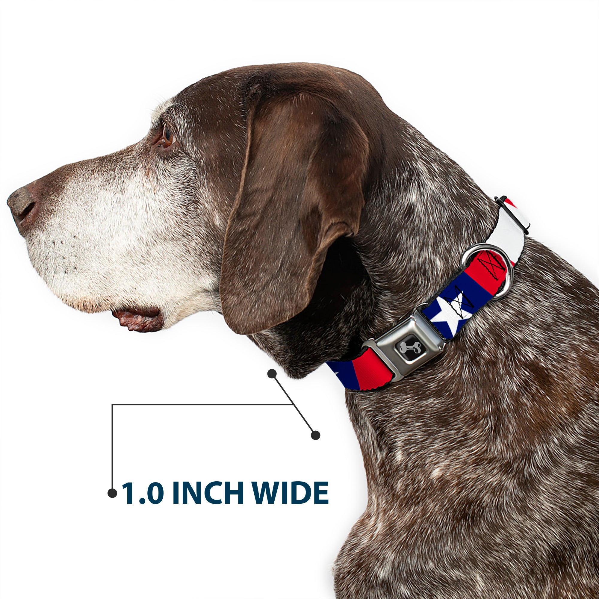 Dog Bone Seatbelt Buckle Collar - Stars & Stripes Ribbon Red/Blue/White Seatbelt Buckle Collars Buckle-Down
