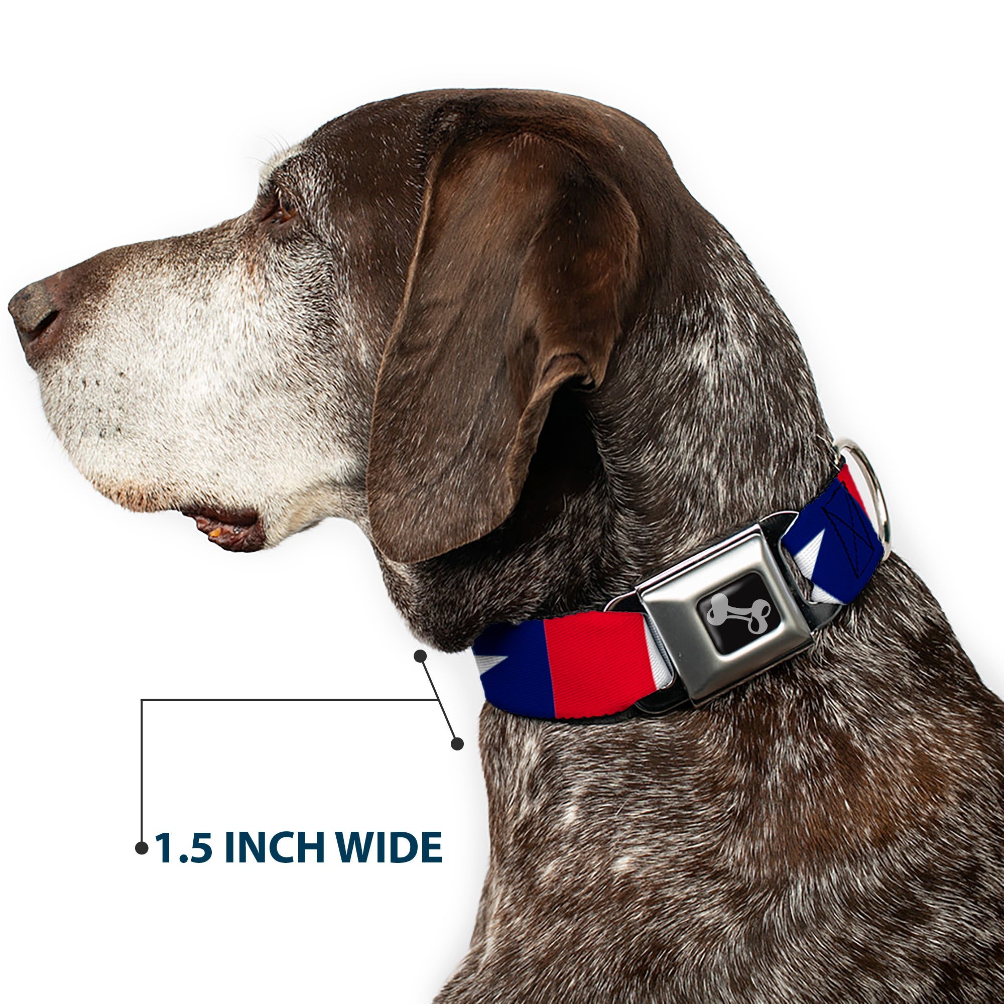 Dog Bone Seatbelt Buckle Collar - Stars & Stripes Ribbon Red/Blue/White Seatbelt Buckle Collars Buckle-Down