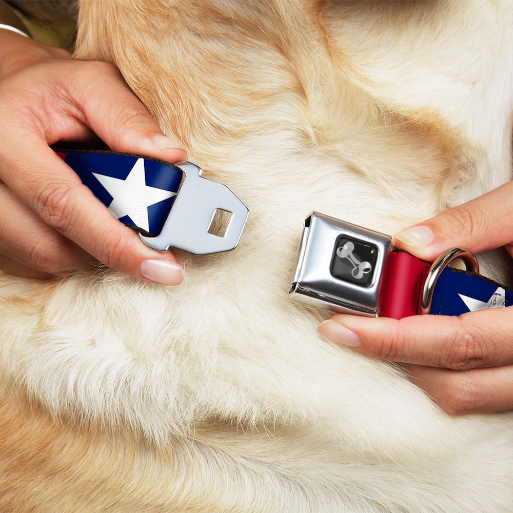 Dog Bone Seatbelt Buckle Collar - Stars & Stripes Ribbon Red/Blue/White Seatbelt Buckle Collars Buckle-Down