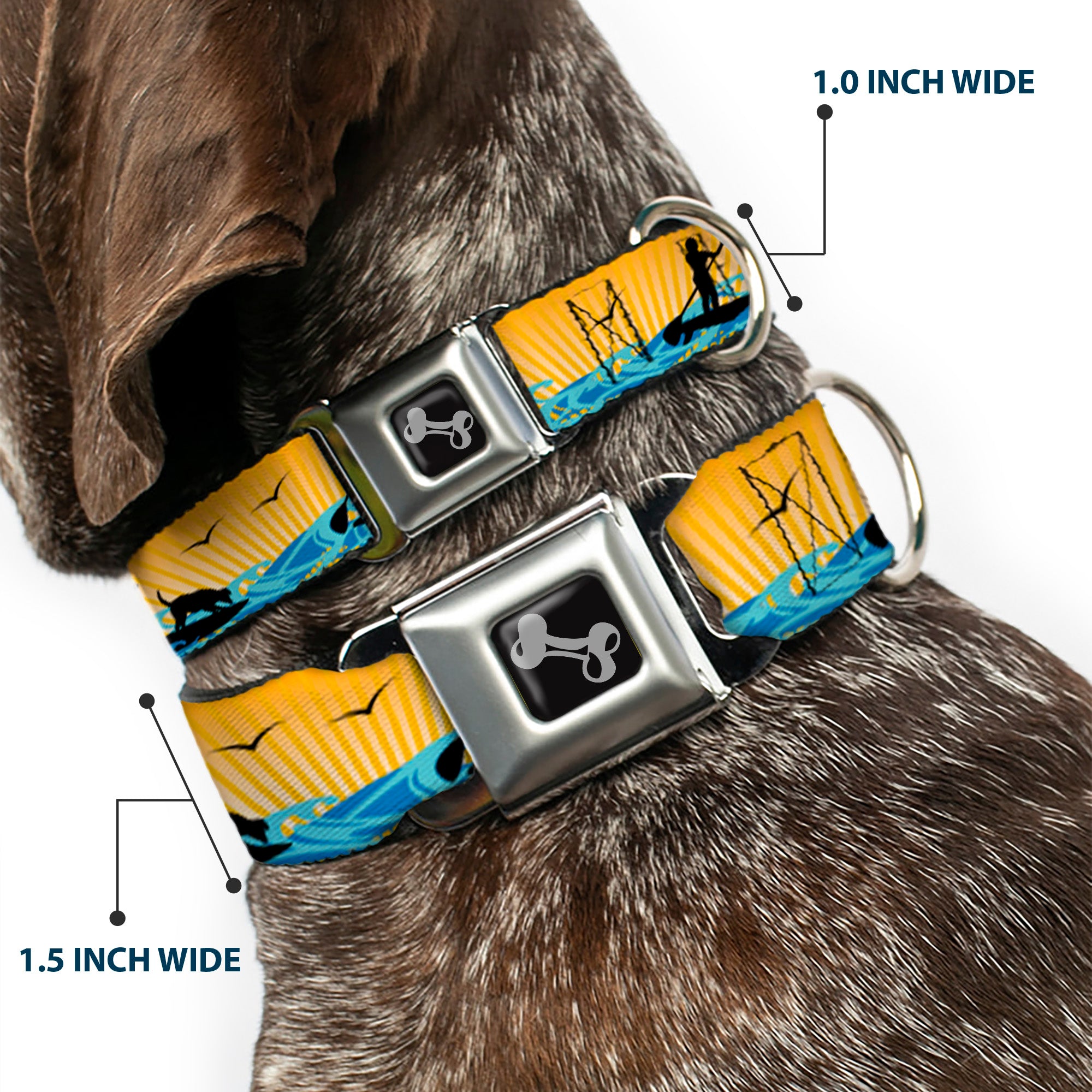 Dog Bone Seatbelt Buckle Collar - SUP w/Dog Yellows/Blues/Black Seatbelt Buckle Collars Buckle-Down