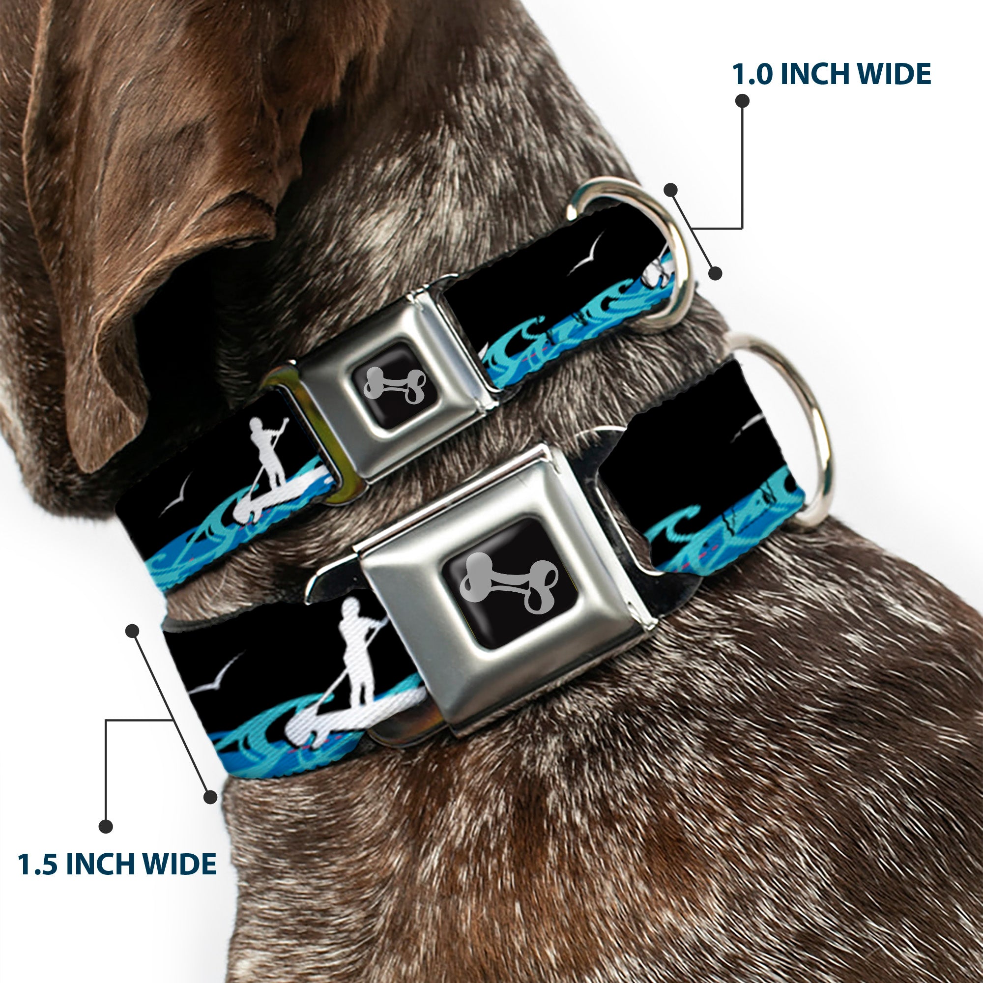 Dog Bone Seatbelt Buckle Collar - SUP w/Dog Black/Blues/White Seatbelt Buckle Collars Buckle-Down