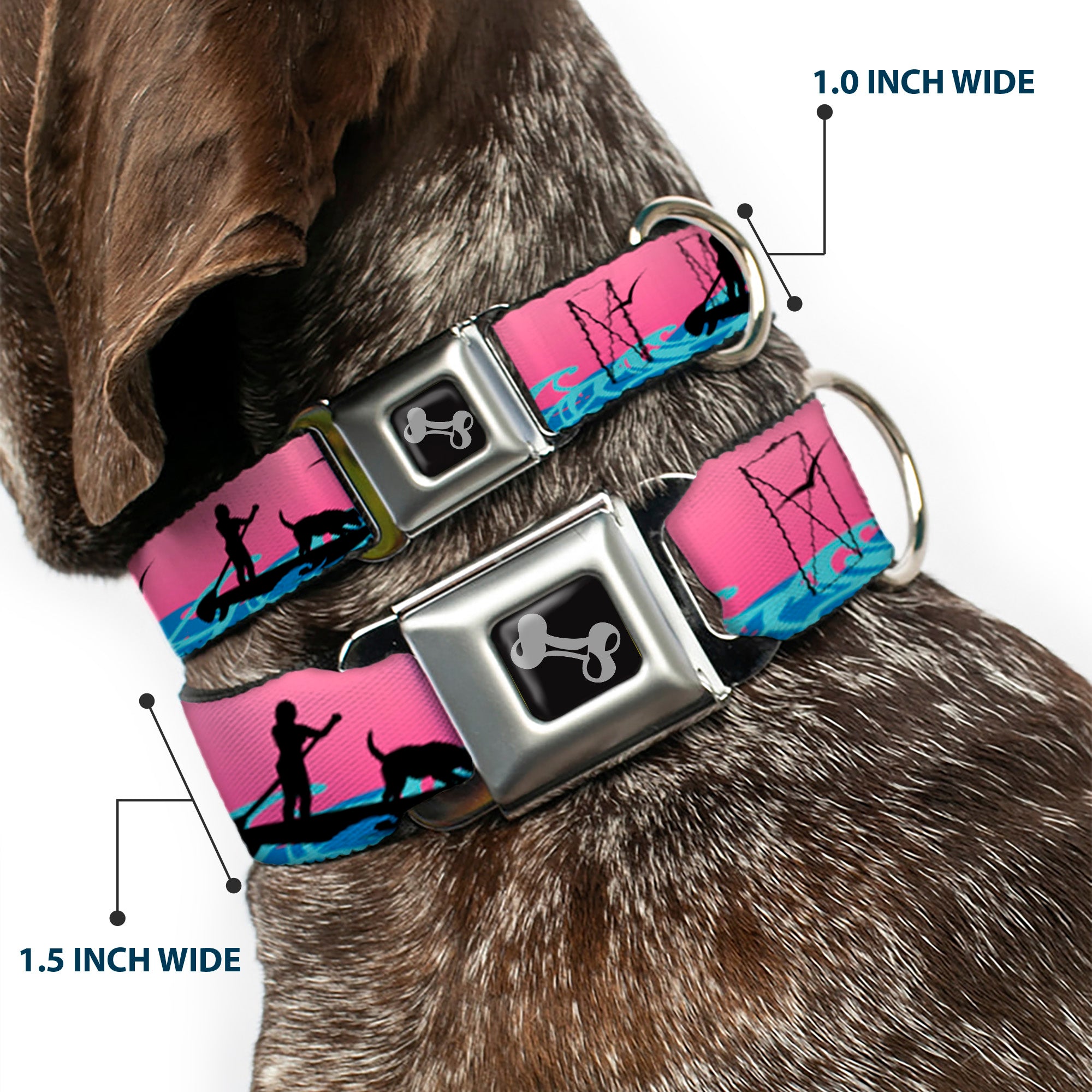 Dog Bone Seatbelt Buckle Collar - SUP w/Dog Pink/Blues/Black Seatbelt Buckle Collars Buckle-Down
