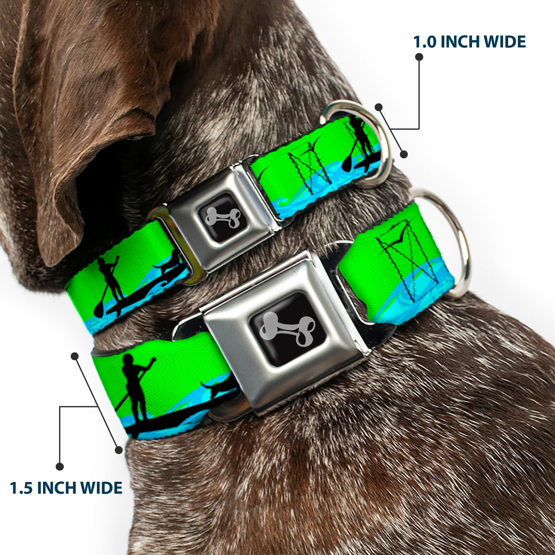 Dog Bone Seatbelt Buckle Collar - SUP w/Dog Neon Green/Blues/Black Seatbelt Buckle Collars Buckle-Down