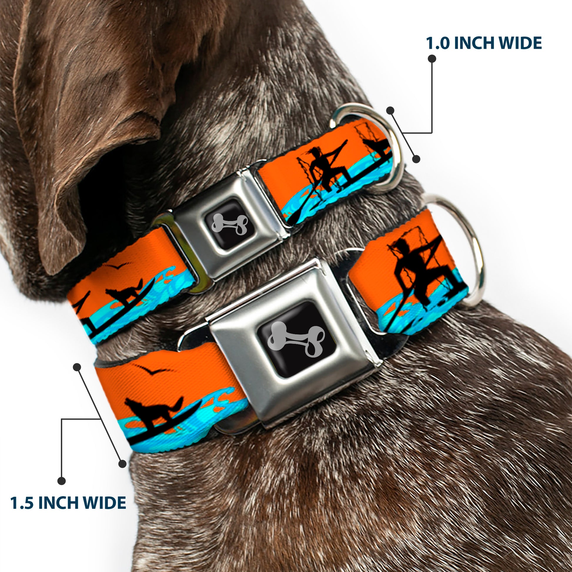 Dog Bone Seatbelt Buckle Collar - SUP w/Dog Neon Orange/Blues/Black Seatbelt Buckle Collars Buckle-Down