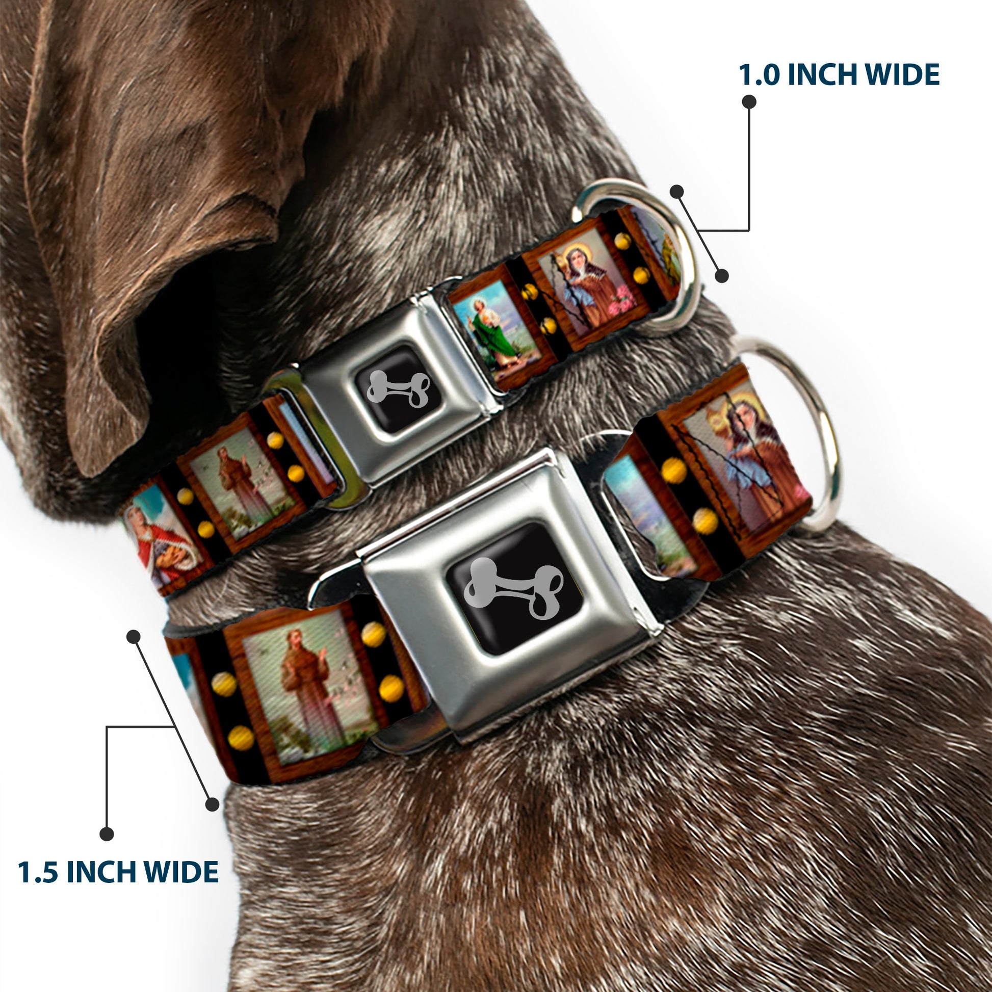 Dog Bone Seatbelt Buckle Collar - Saint Blocks Seatbelt Buckle Collars Buckle-Down