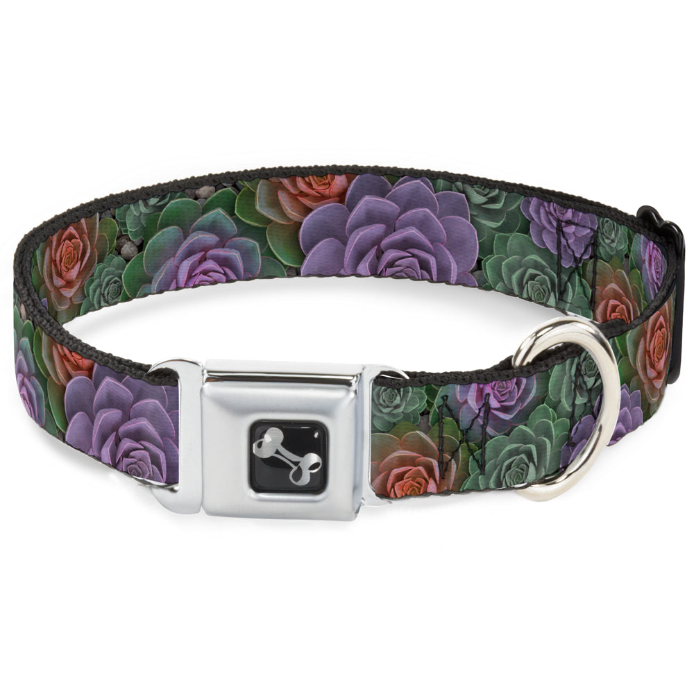 Dog Bone Seatbelt Buckle Collar - Succulents Stacked Green/Pink/Orange Seatbelt Buckle Collars Buckle-Down