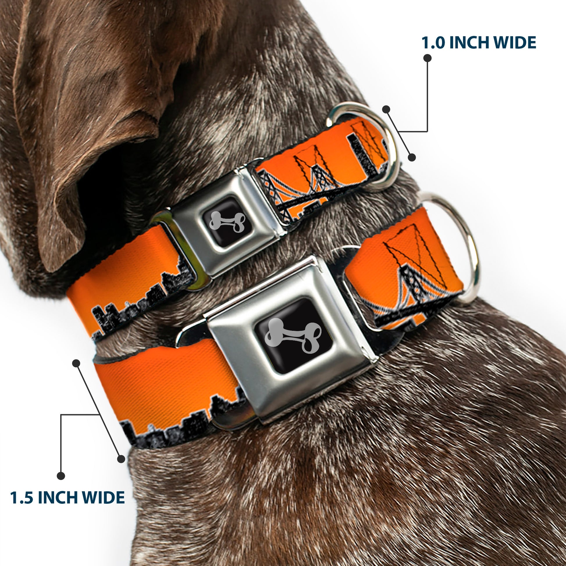 Dog Bone Seatbelt Buckle Collar - San Francisco Vivid Skyline Orange Fade/Black Seatbelt Buckle Collars Buckle-Down