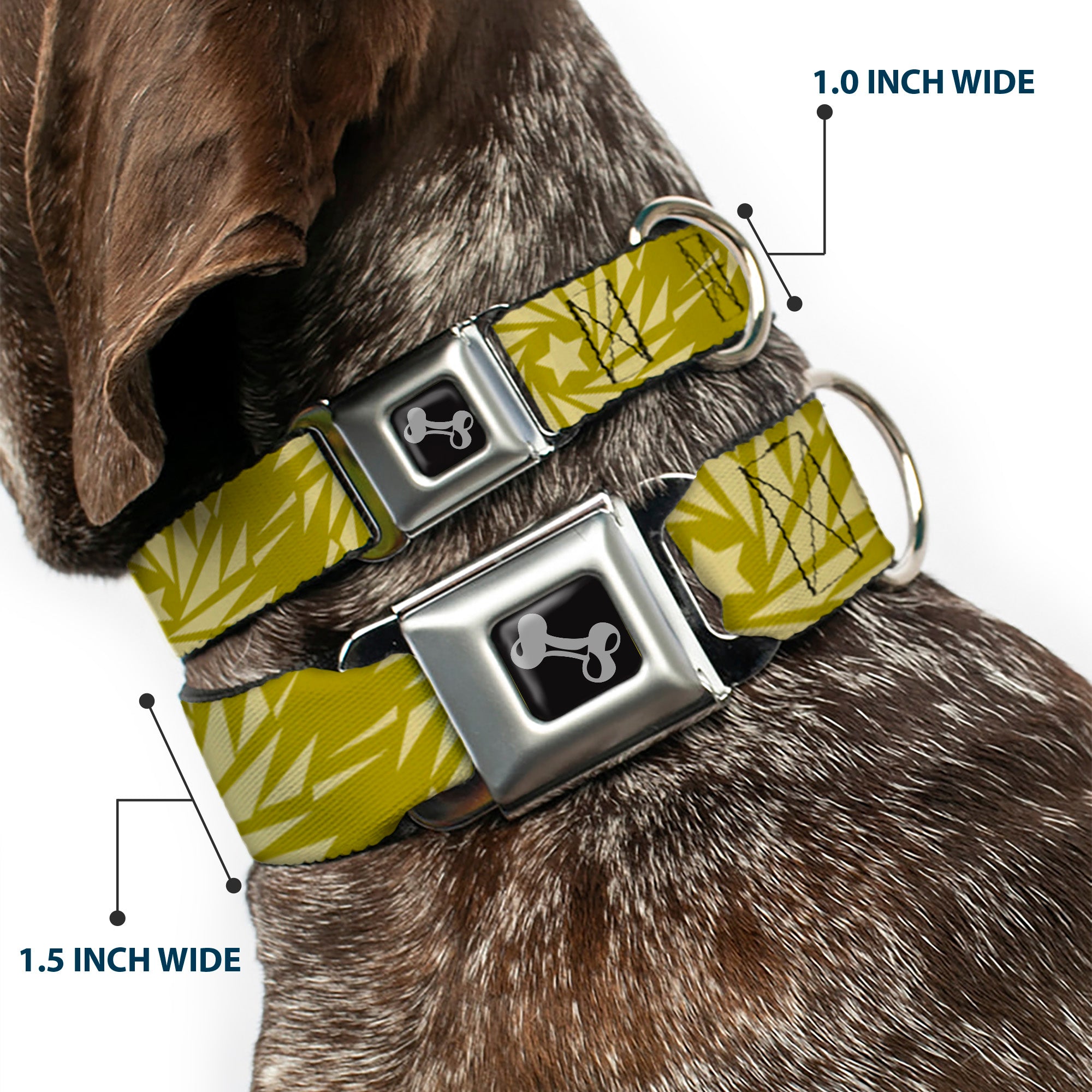 Dog Bone Seatbelt Buckle Collar - Star Pinwheel Olive Greens Seatbelt Buckle Collars Buckle-Down