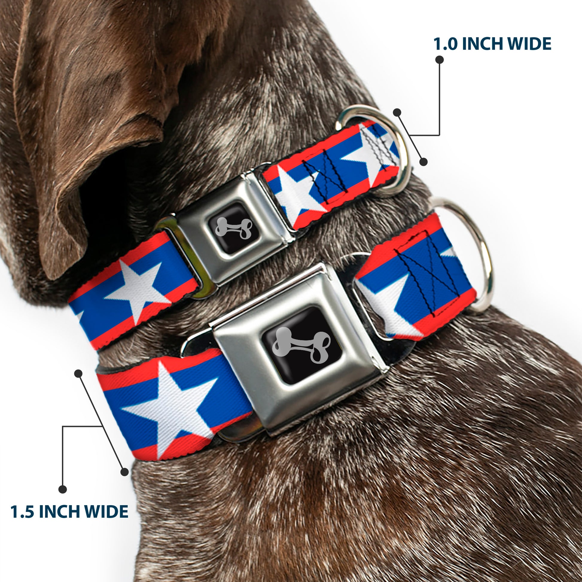 Dog Bone Seatbelt Buckle Collar - Stars/Stripes Red/Blue/White Seatbelt Buckle Collars Buckle-Down
