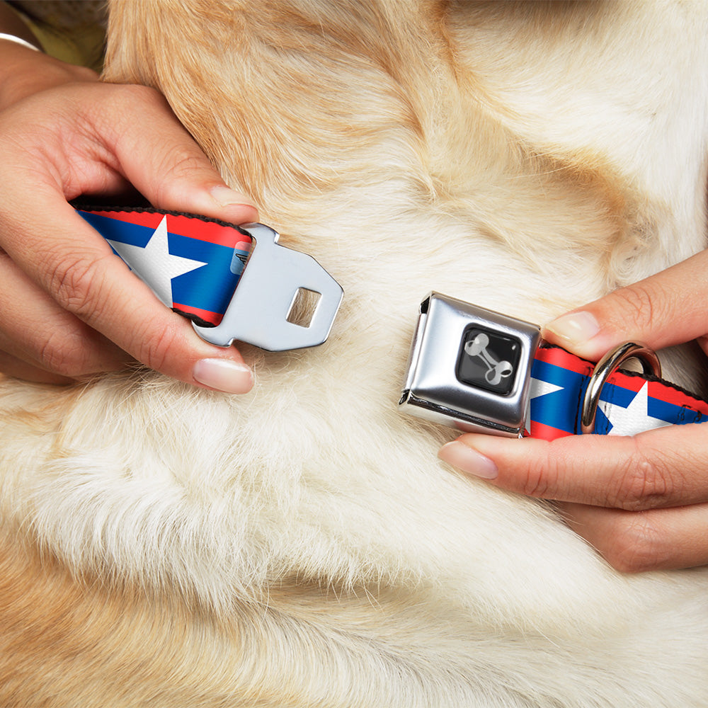 Dog Bone Seatbelt Buckle Collar - Stars/Stripes Red/Blue/White Seatbelt Buckle Collars Buckle-Down