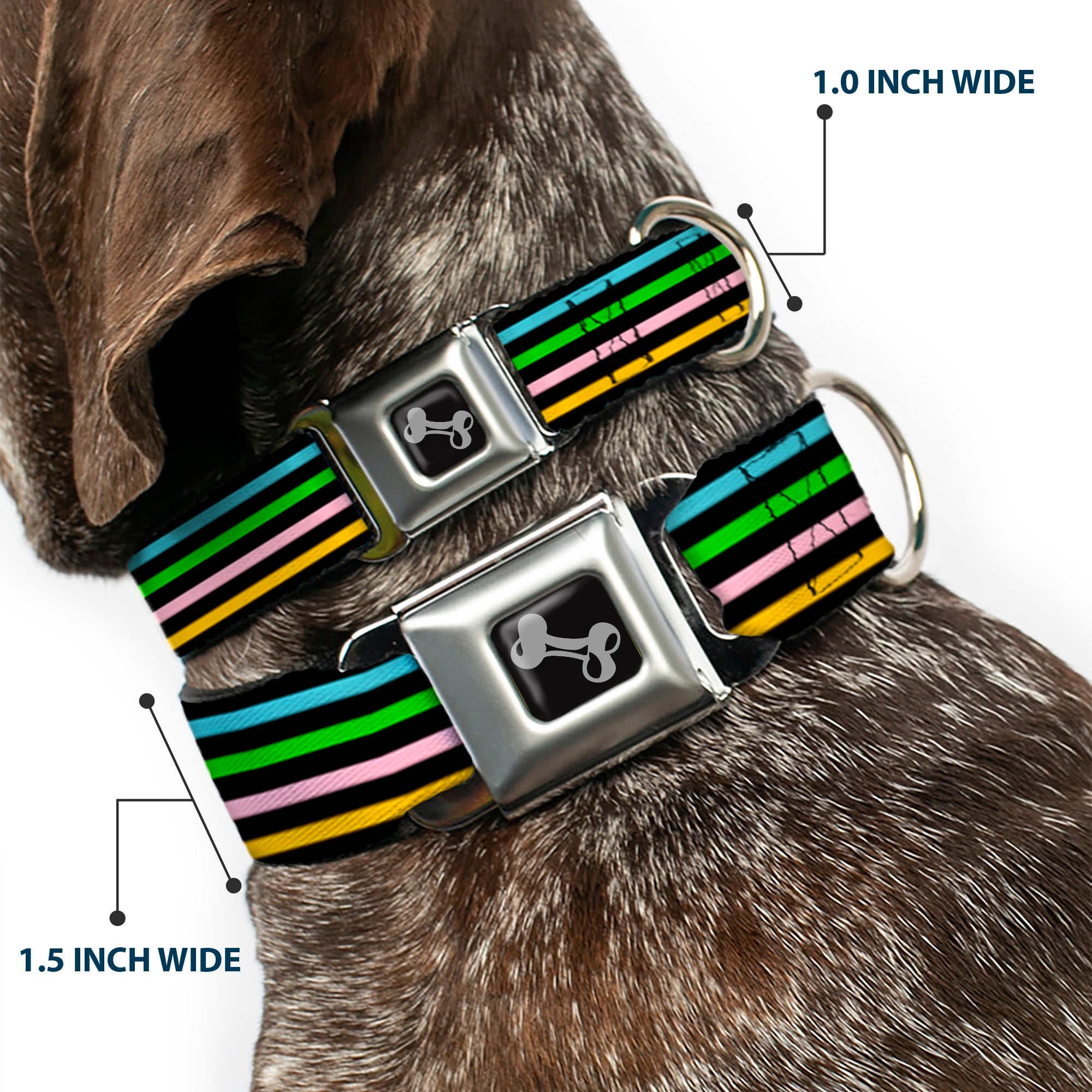 Dog Bone Seatbelt Buckle Collar - Stripe Blocks Black/Multi Pastel Seatbelt Buckle Collars Buckle-Down