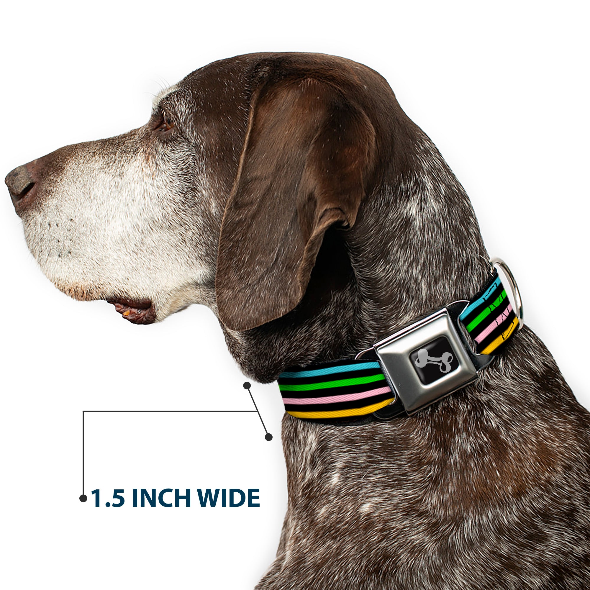 Dog Bone Seatbelt Buckle Collar - Stripe Blocks Black/Multi Pastel Seatbelt Buckle Collars Buckle-Down