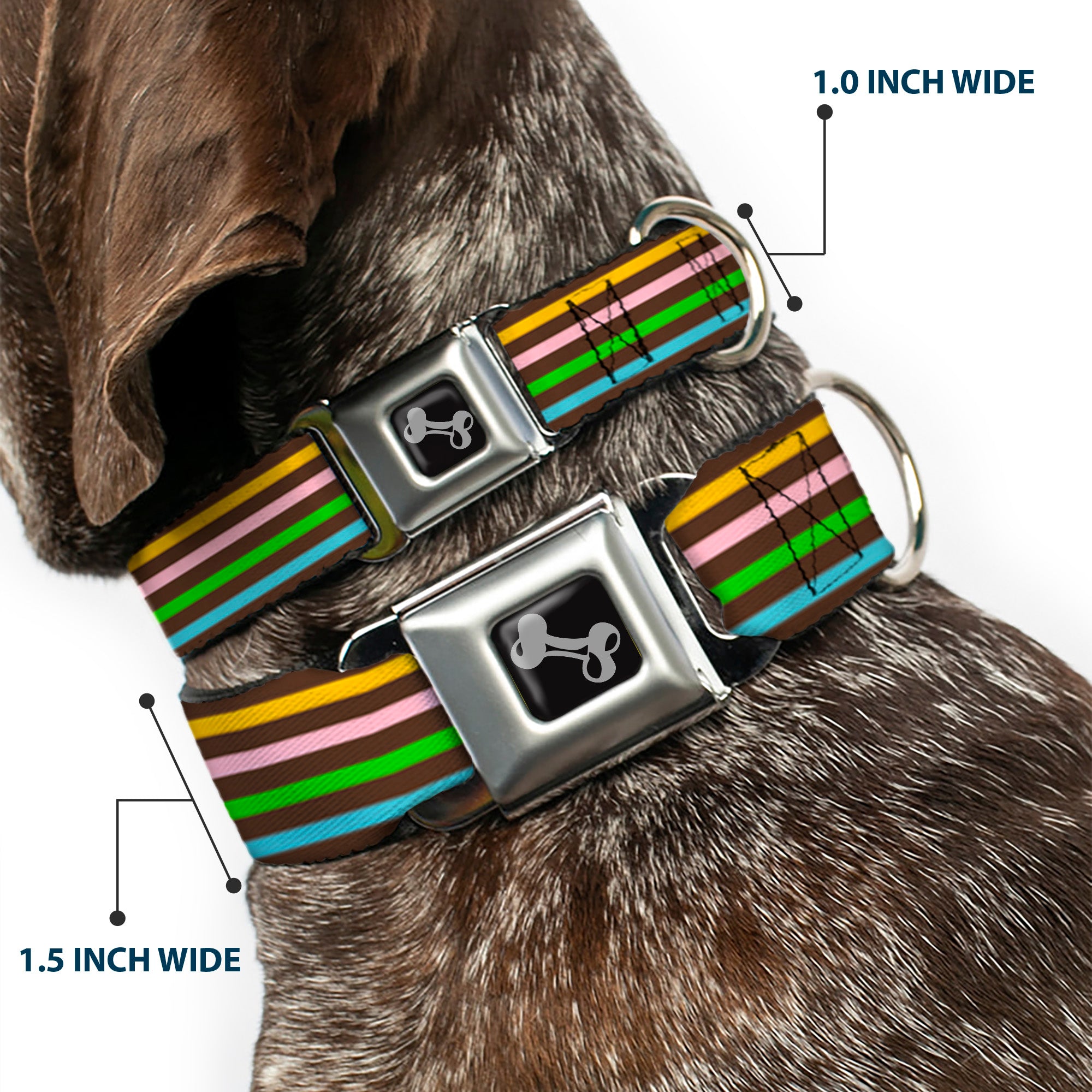 Dog Bone Seatbelt Buckle Collar - Stripe Blocks Brown/Multi Pastel Seatbelt Buckle Collars Buckle-Down