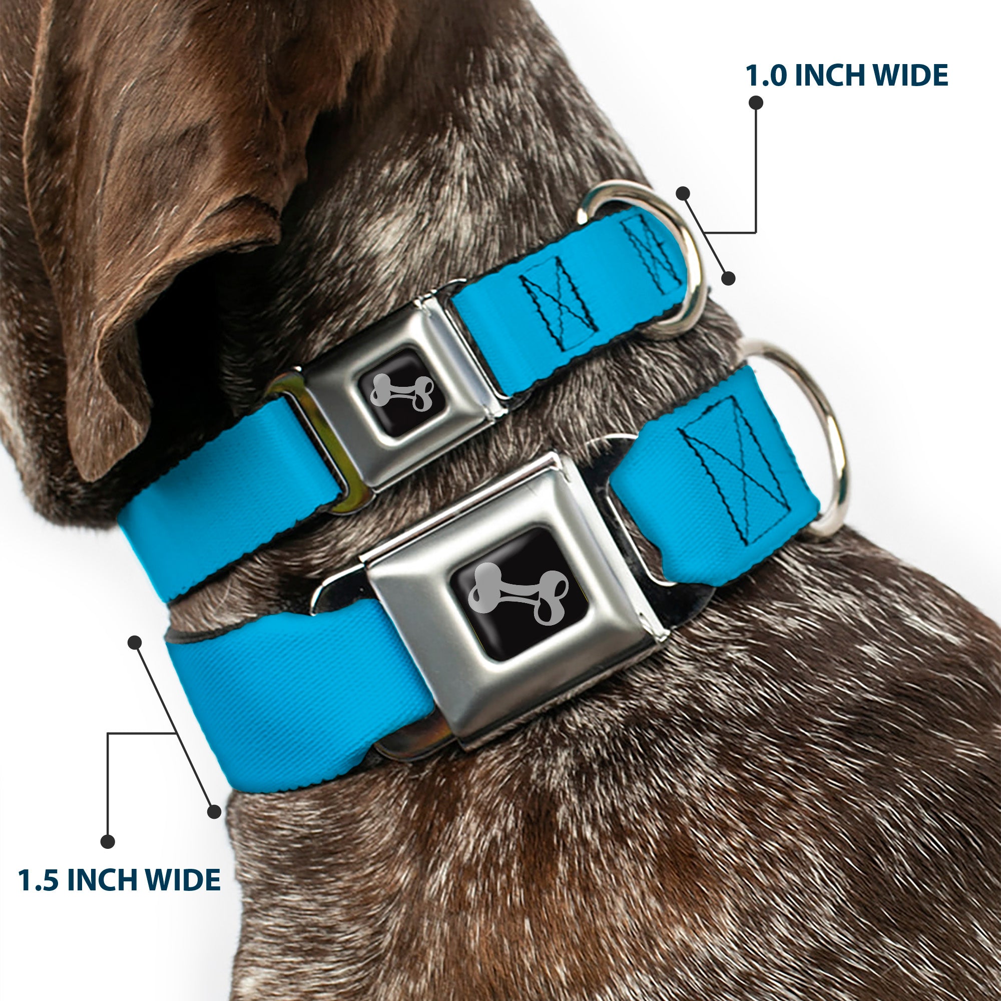 Dog Bone Seatbelt Buckle Collar - Solid Water Blue Seatbelt Buckle Collars Buckle-Down