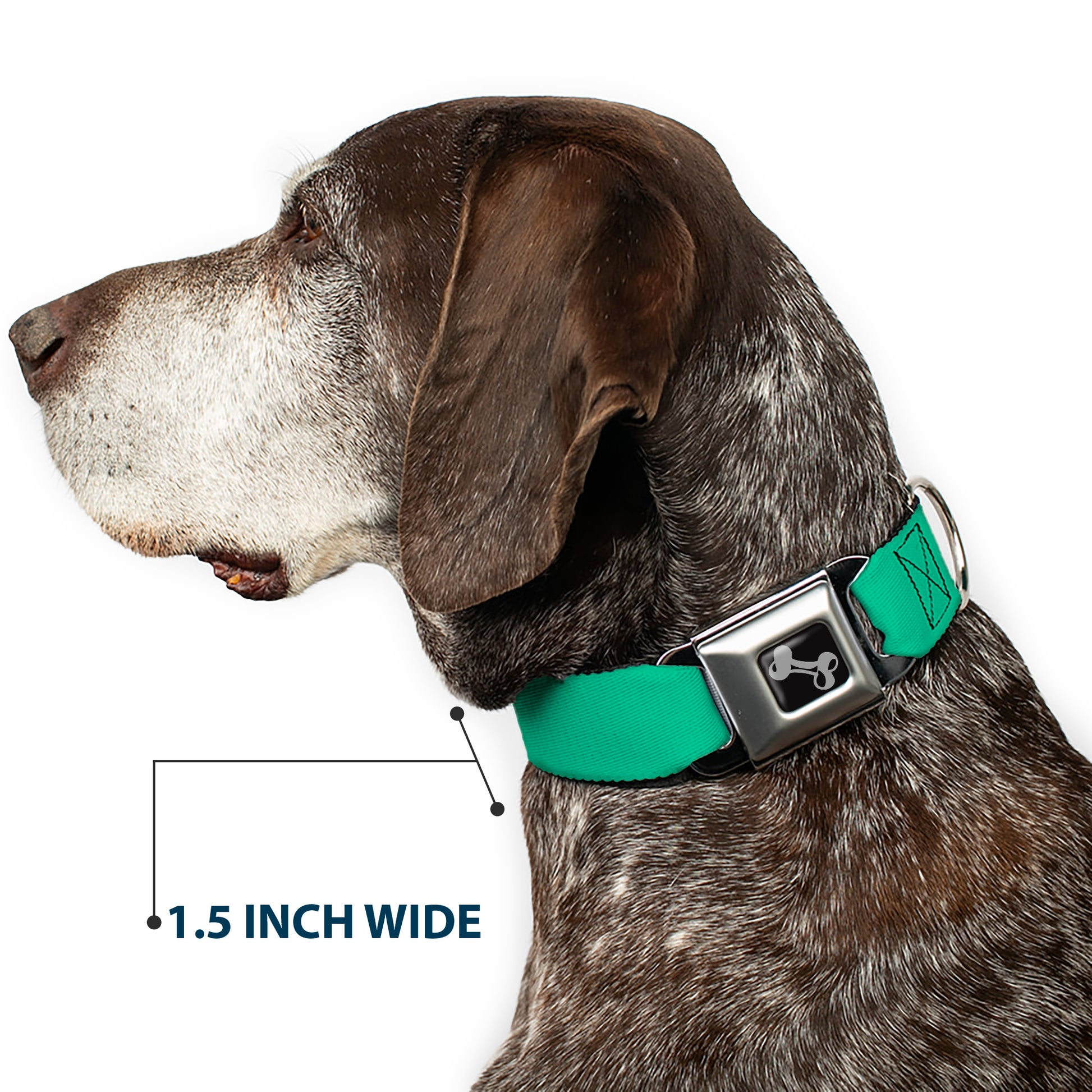 Dog Bone Seatbelt Buckle Collar - Solid Rainforest Green Seatbelt Buckle Collars Buckle-Down