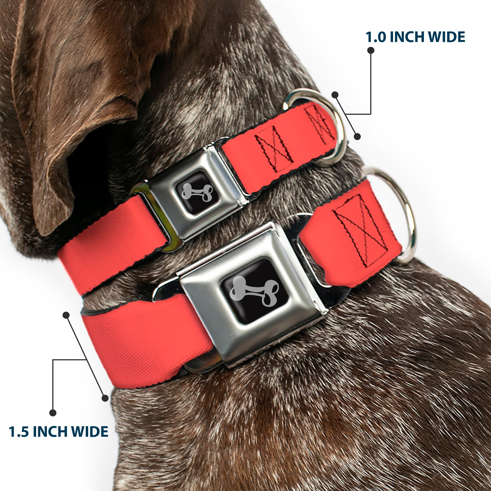 Dog Bone Seatbelt Buckle Collar - Solid Salmon Orange Seatbelt Buckle Collars Buckle-Down
