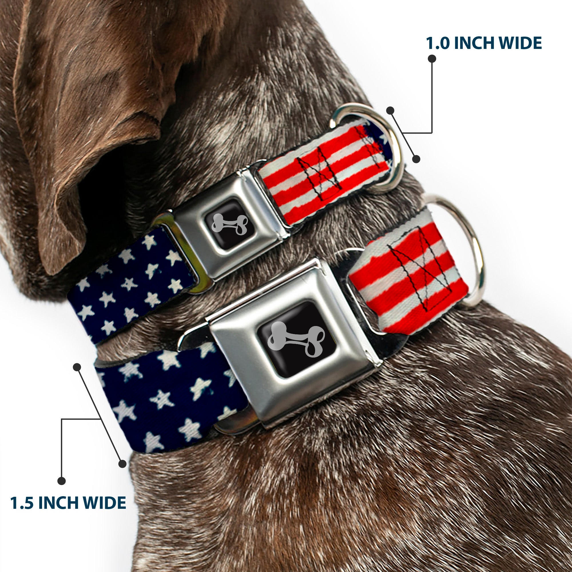 Dog Bone Seatbelt Buckle Collar - Stars & Stripes Painting Seatbelt Buckle Collars Buckle-Down