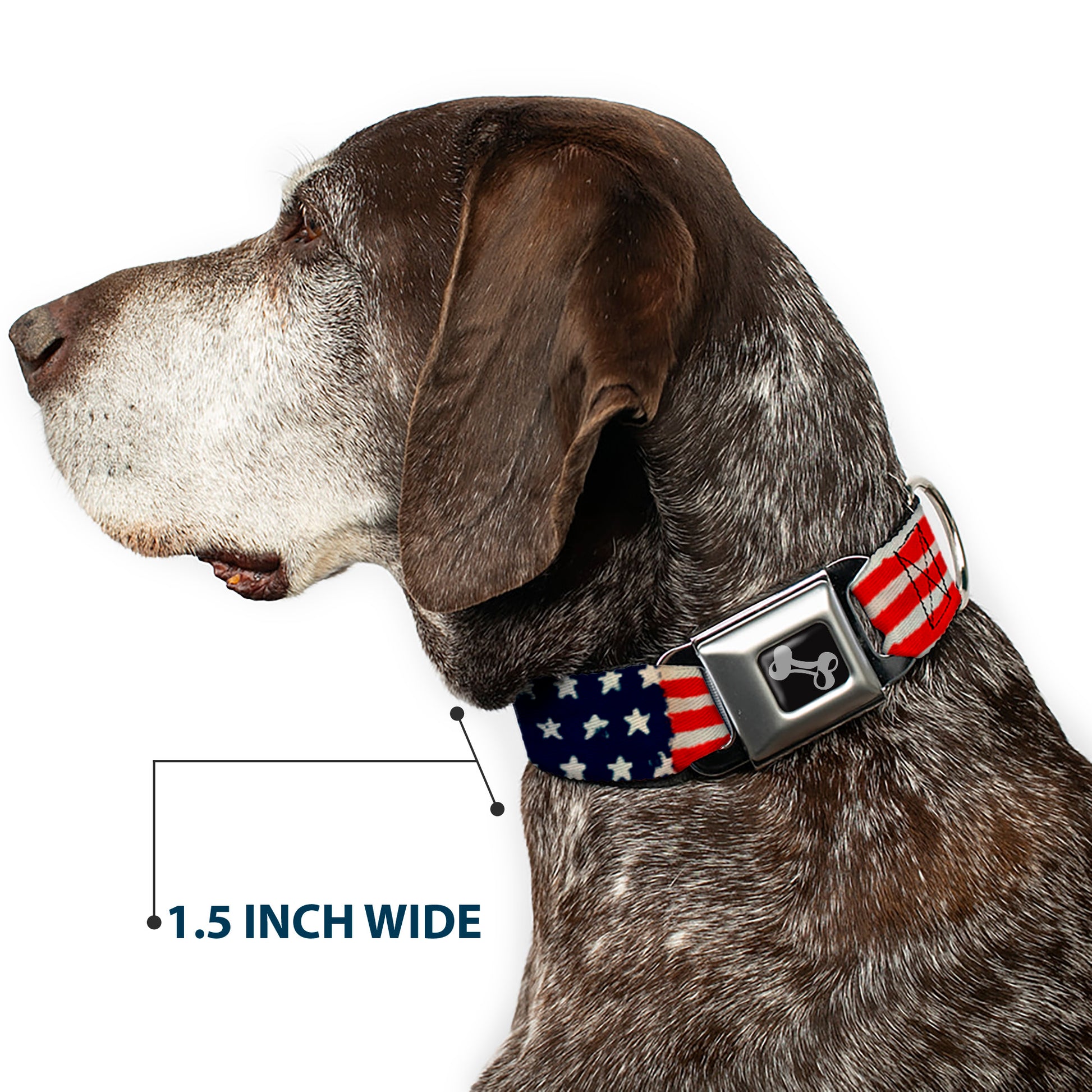 Dog Bone Seatbelt Buckle Collar - Stars & Stripes Painting Seatbelt Buckle Collars Buckle-Down