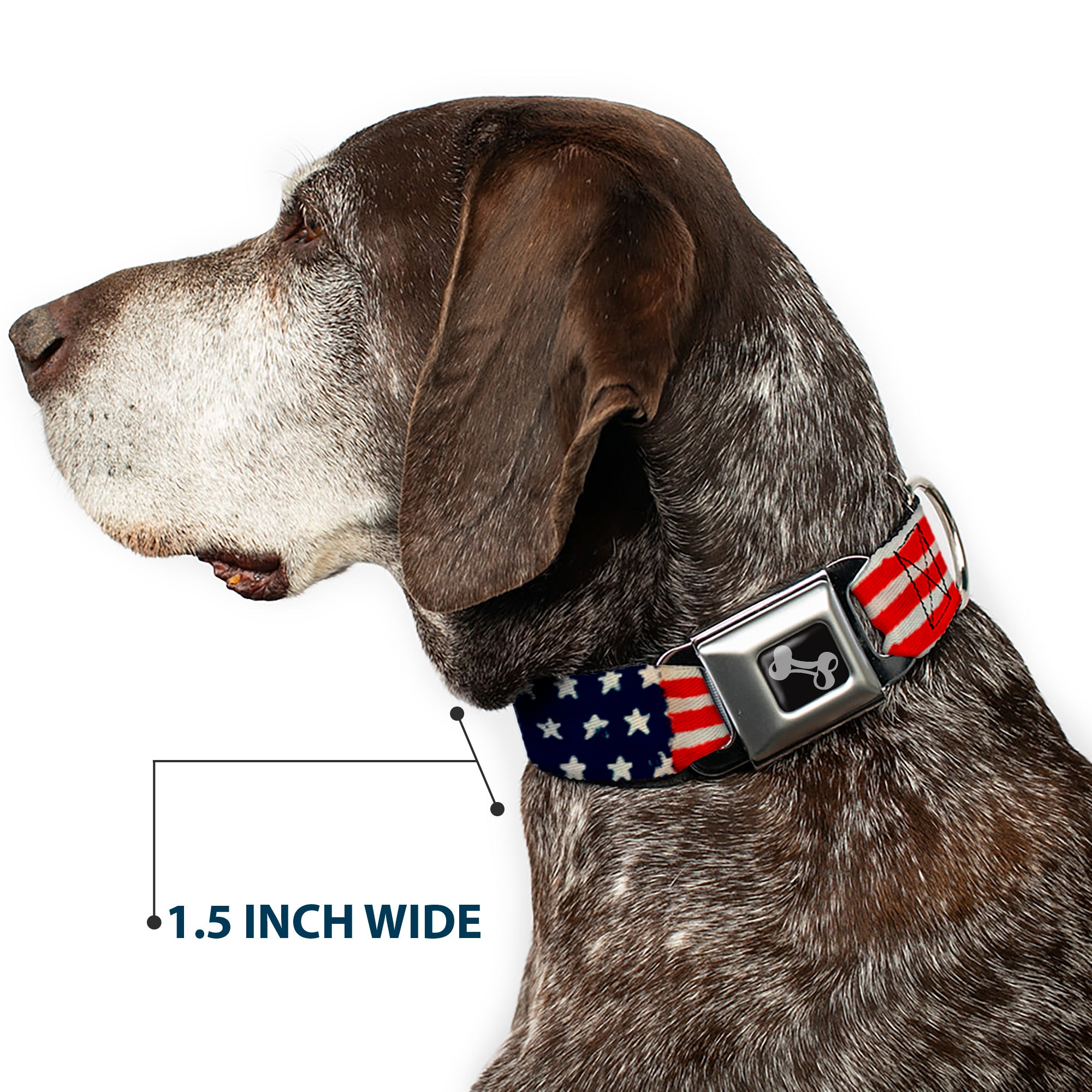 Dog Bone Seatbelt Buckle Collar - Stars & Stripes Painting Seatbelt Buckle Collars Buckle-Down