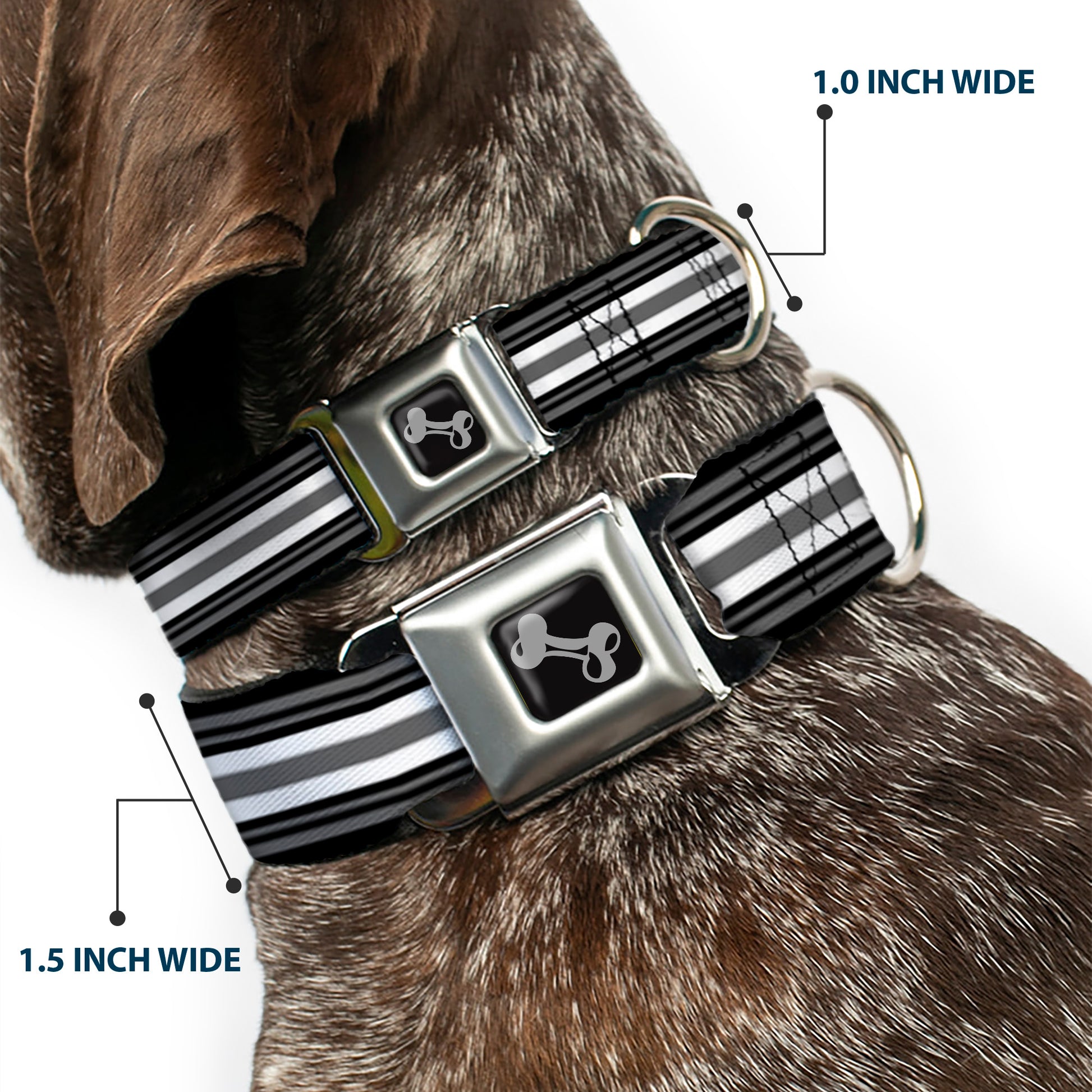 Dog Bone Seatbelt Buckle Collar - Striped Black/Gray/White Seatbelt Buckle Collars Buckle-Down