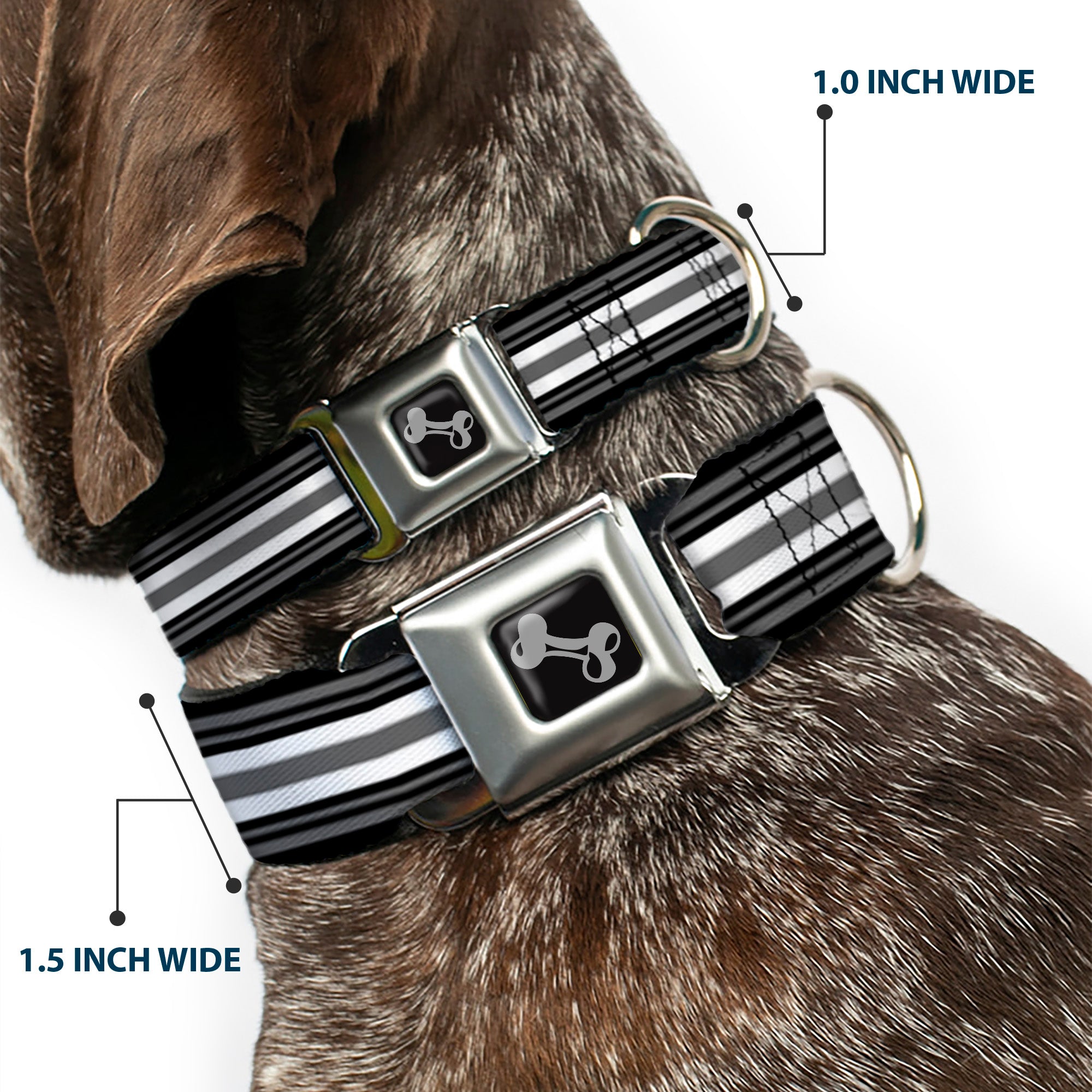 Dog Bone Seatbelt Buckle Collar - Striped Black/Gray/White Seatbelt Buckle Collars Buckle-Down