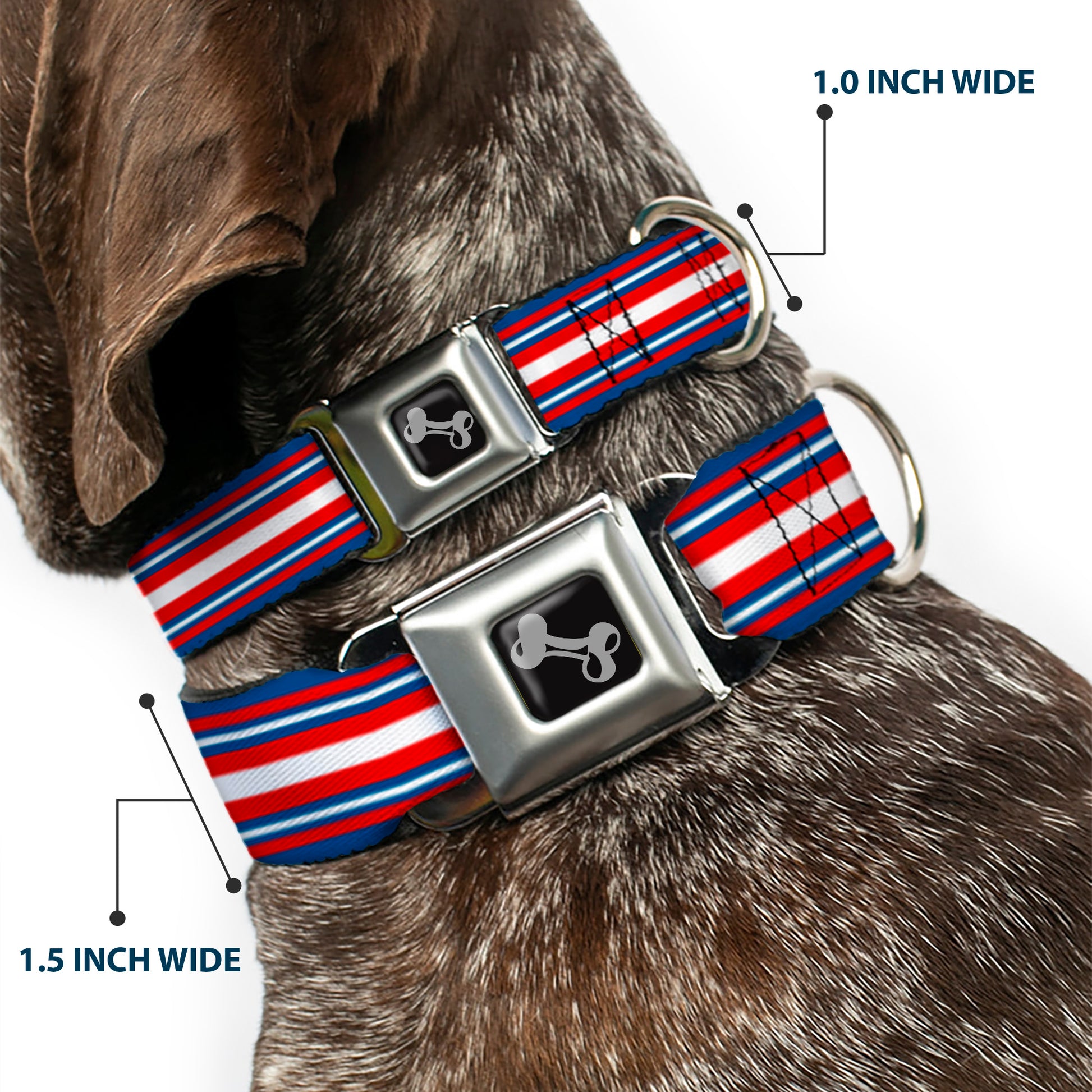 Dog Bone Seatbelt Buckle Collar - Striped Blue/Red/White Seatbelt Buckle Collars Buckle-Down