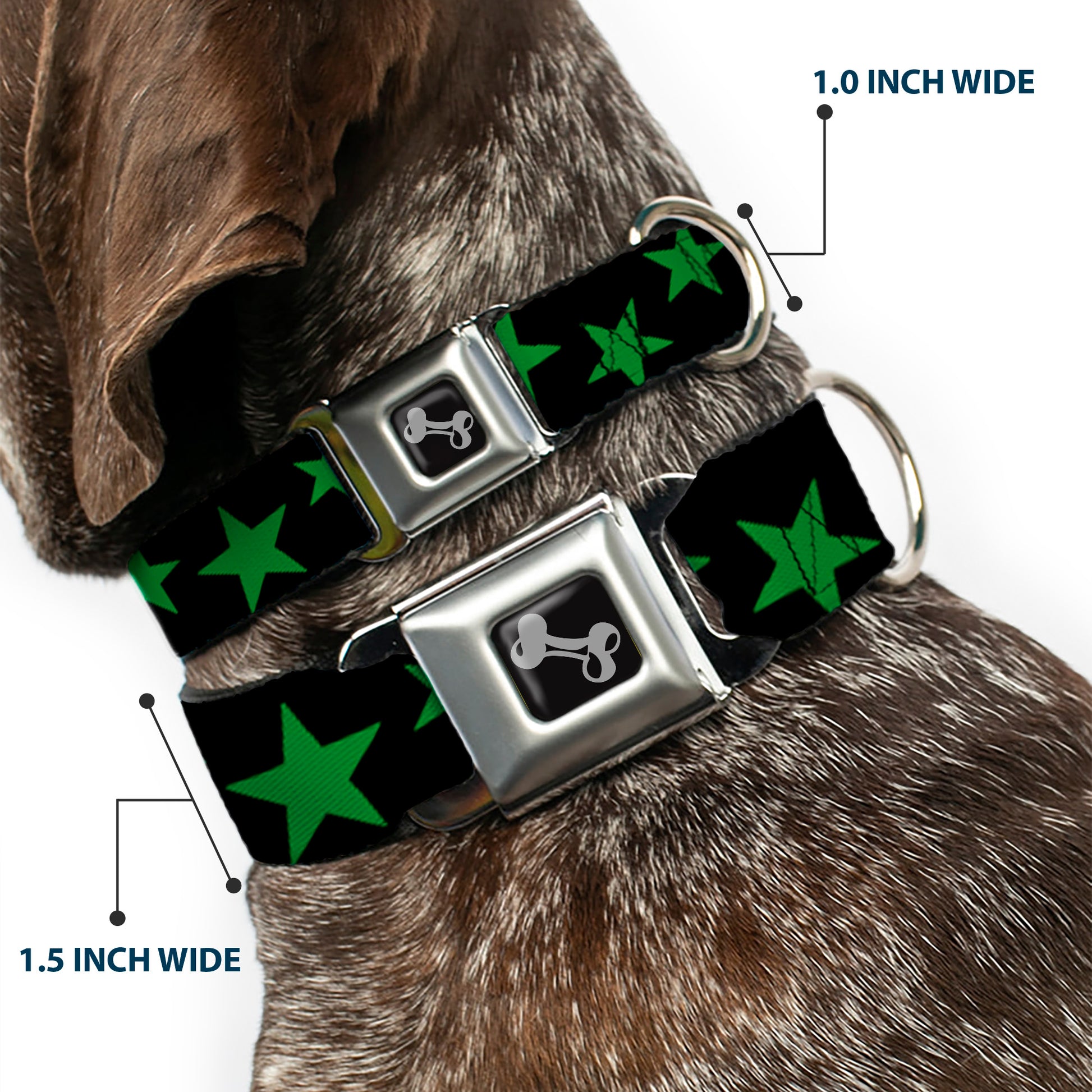 Dog Bone Seatbelt Buckle Collar - Stars Scattered Black/Green Seatbelt Buckle Collars Buckle-Down