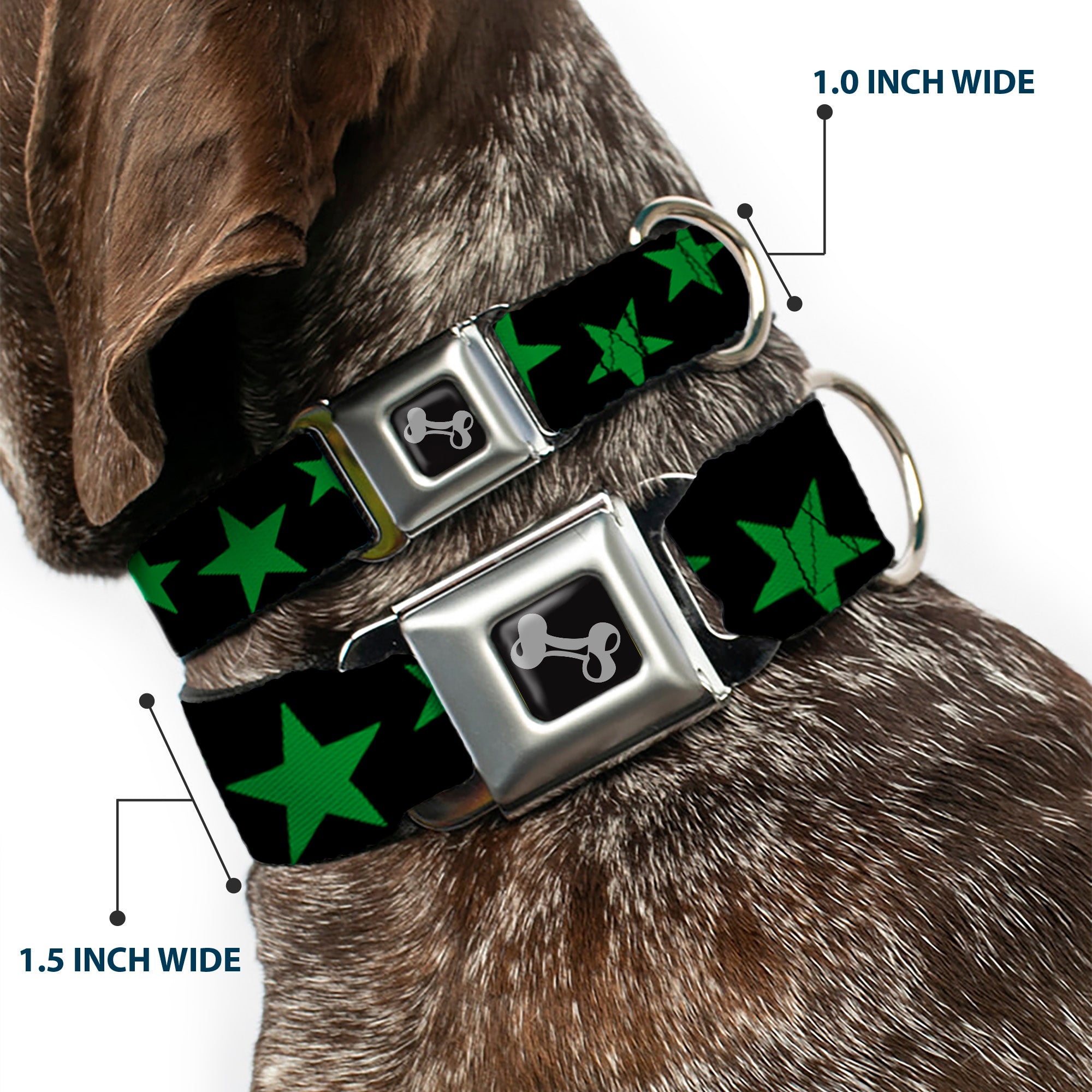 Dog Bone Seatbelt Buckle Collar - Stars Scattered Black/Green Seatbelt Buckle Collars Buckle-Down