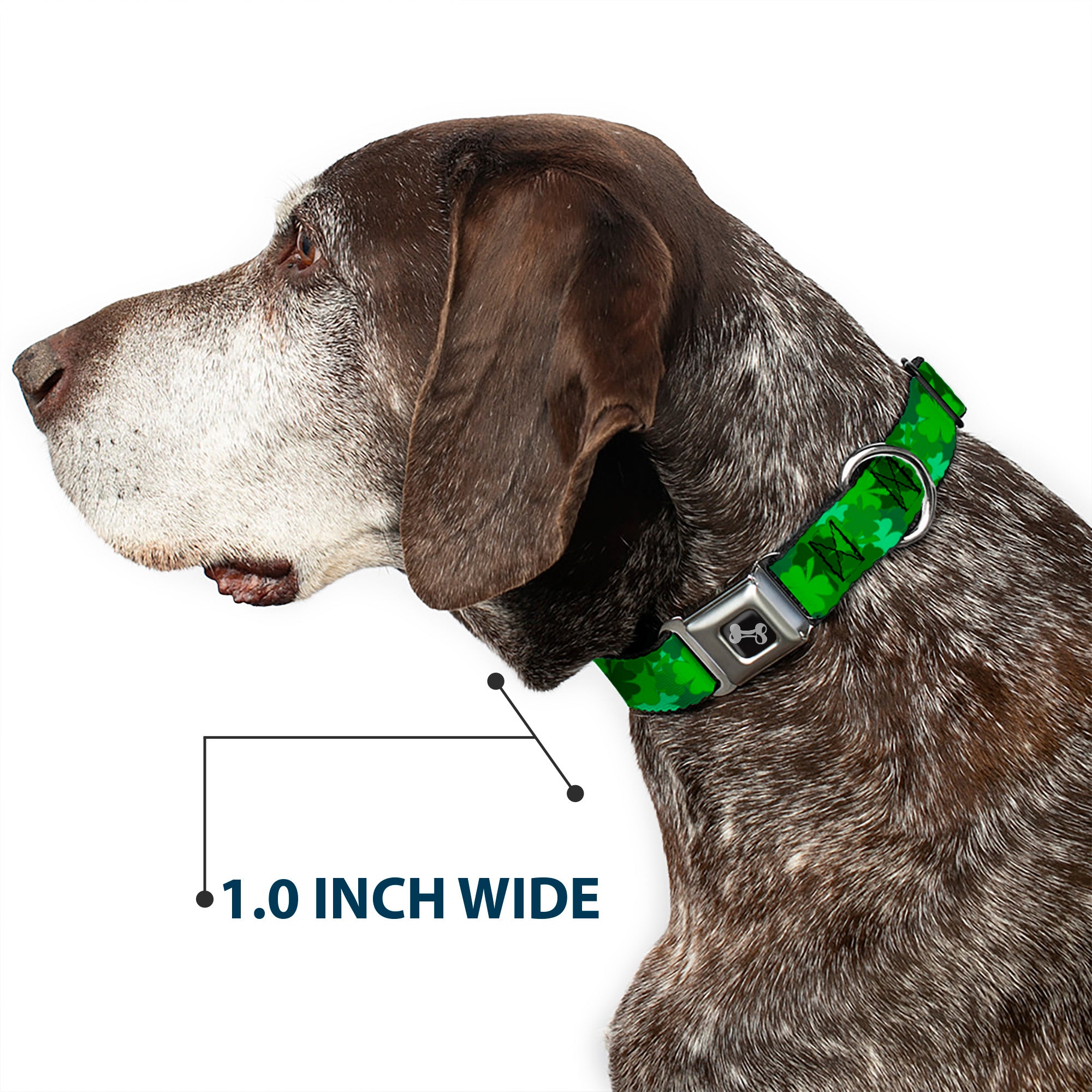 Dog Bone Seatbelt Buckle Collar - St. Pat's Stacked Shamrocks Greens Seatbelt Buckle Collars Buckle-Down