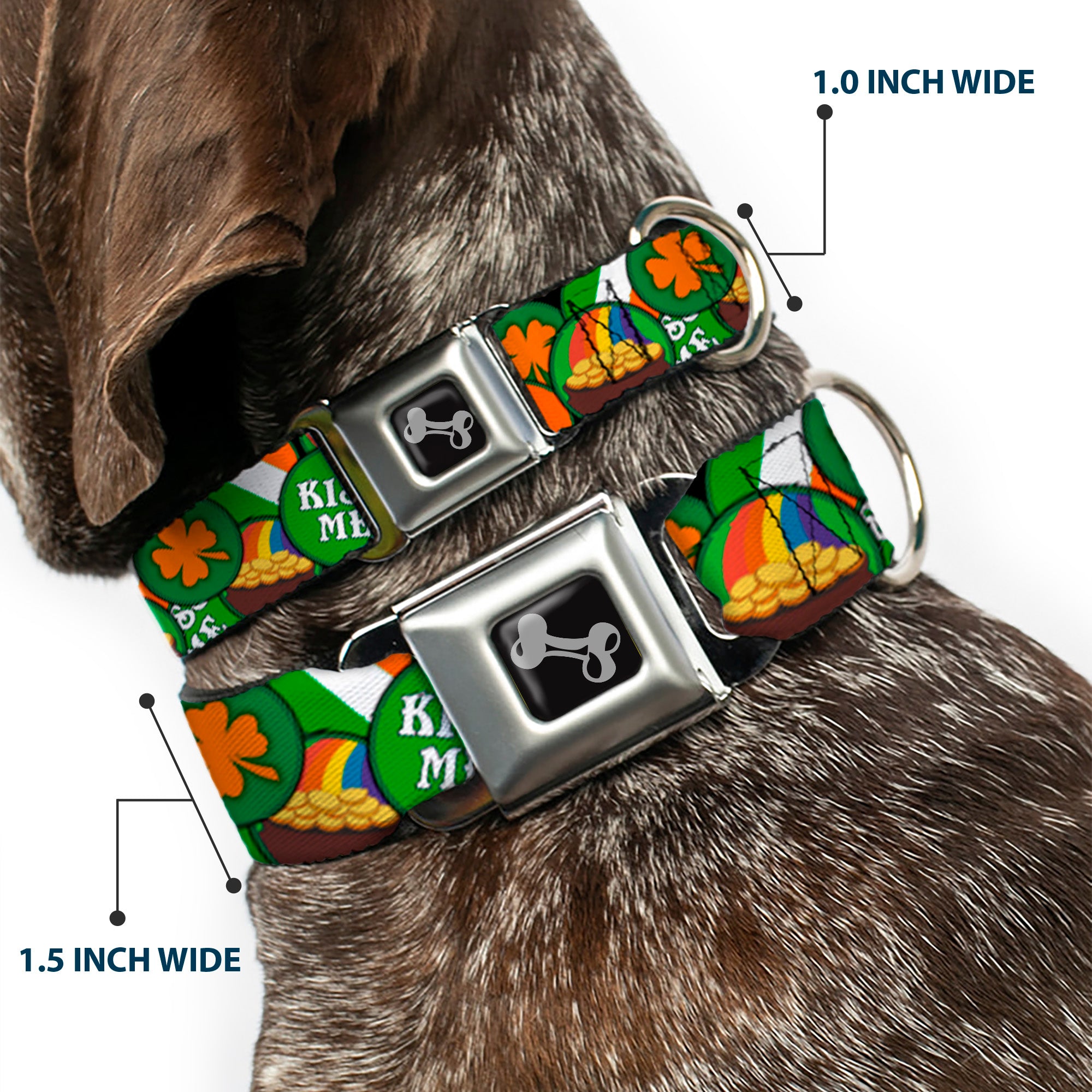 Dog Bone Seatbelt Buckle Collar - St. Pat's 4-Buttons Stacked Seatbelt Buckle Collars Buckle-Down