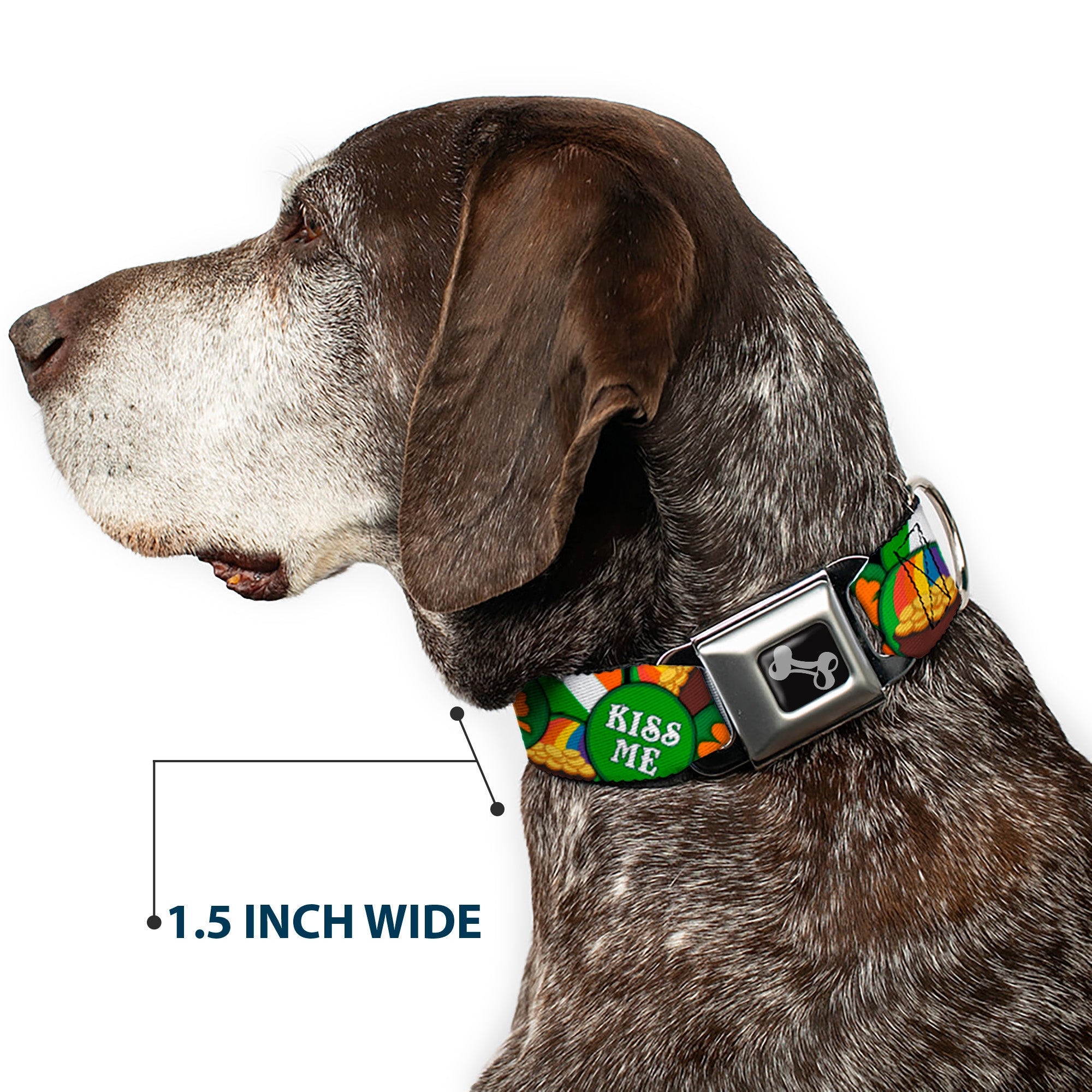 Dog Bone Seatbelt Buckle Collar - St. Pat's 4-Buttons Stacked Seatbelt Buckle Collars Buckle-Down
