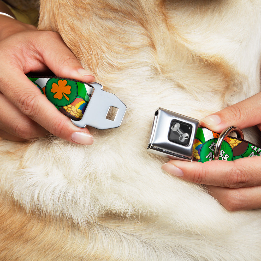 Dog Bone Seatbelt Buckle Collar - St. Pat's 4-Buttons Stacked Seatbelt Buckle Collars Buckle-Down
