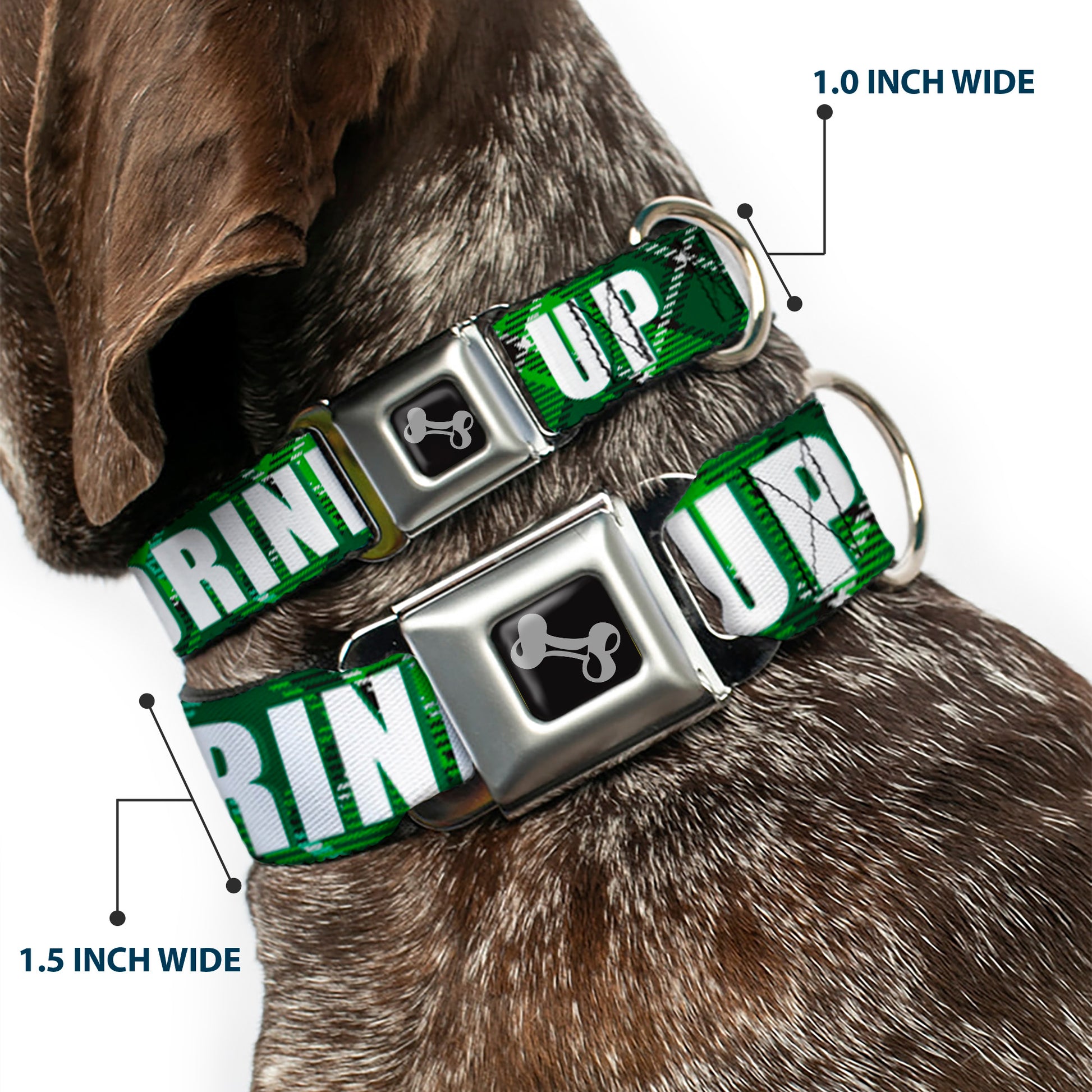 Dog Bone Black/Silver Seatbelt Buckle Collar - St. Pat's DRINK UP BITCHES/Beer Mugs/Stacked Shamrocks Greens/White/Gold Seatbelt Buckle Collars Buckle-Down