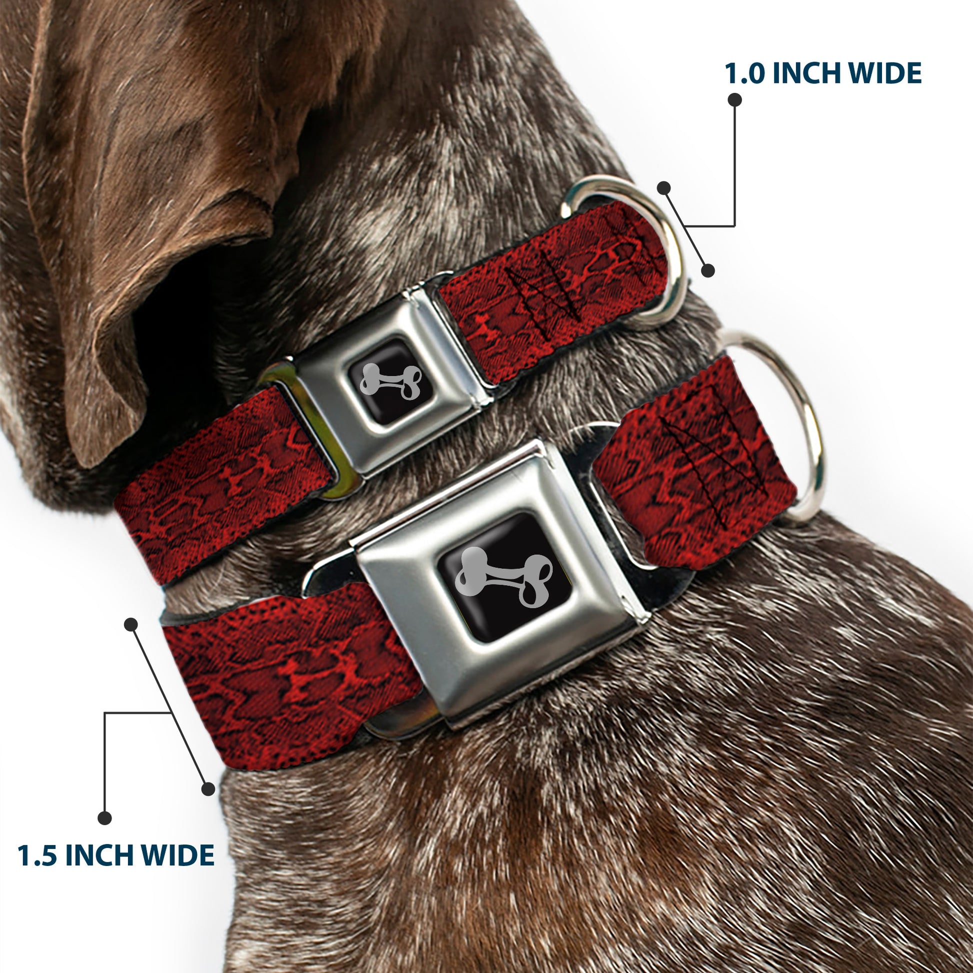 Dog Bone Seatbelt Buckle Collar - Snake Skin 3 Red/Black Seatbelt Buckle Collars Buckle-Down