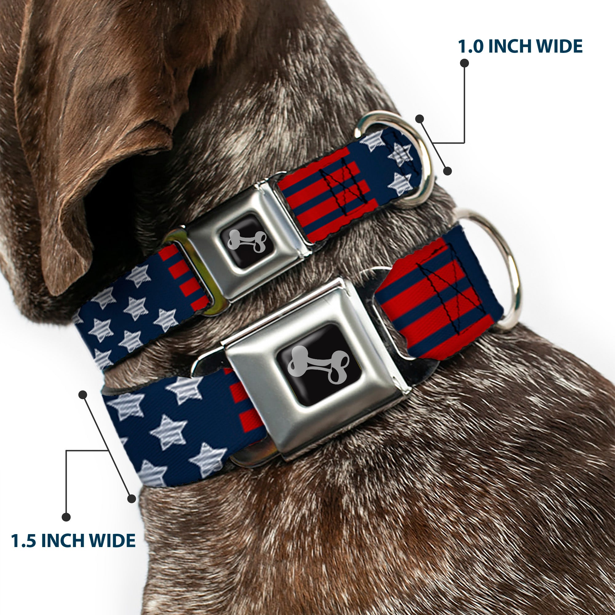 Dog Bone Seatbelt Buckle Collar - Stars & Stripes2 Blue/White/Red Seatbelt Buckle Collars Buckle-Down