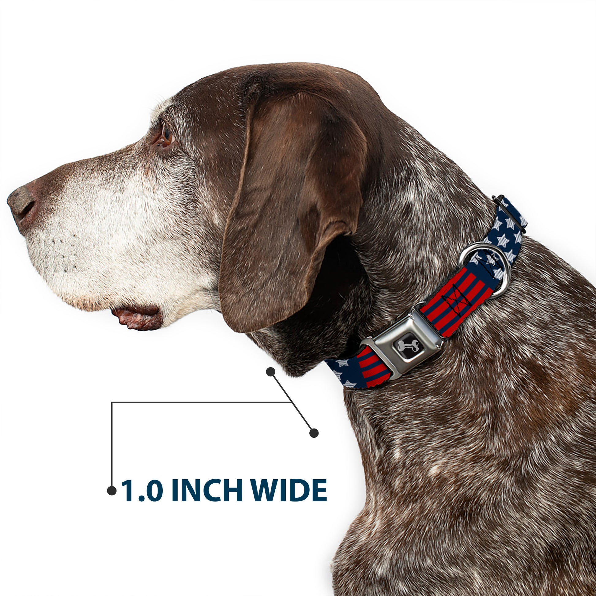Dog Bone Seatbelt Buckle Collar - Stars & Stripes2 Blue/White/Red Seatbelt Buckle Collars Buckle-Down