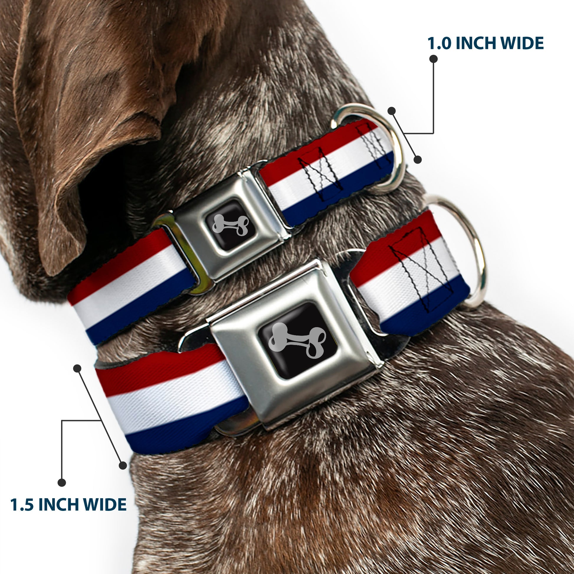 Dog Bone Seatbelt Buckle Collar - Stripes Red/White/Blue Seatbelt Buckle Collars Buckle-Down