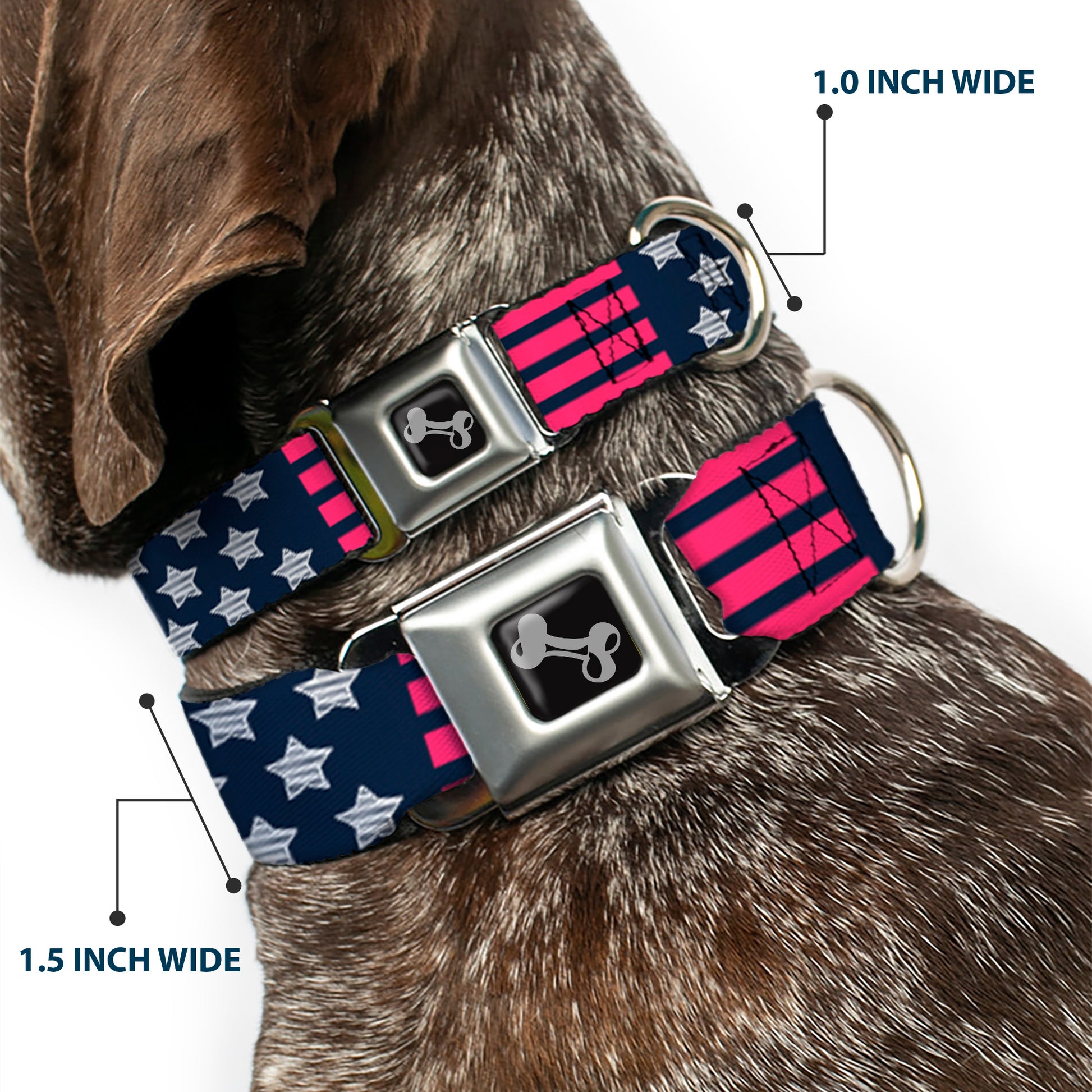 Dog Bone Seatbelt Buckle Collar - Stars & Stripes2 Blue/White/Pink Seatbelt Buckle Collars Buckle-Down