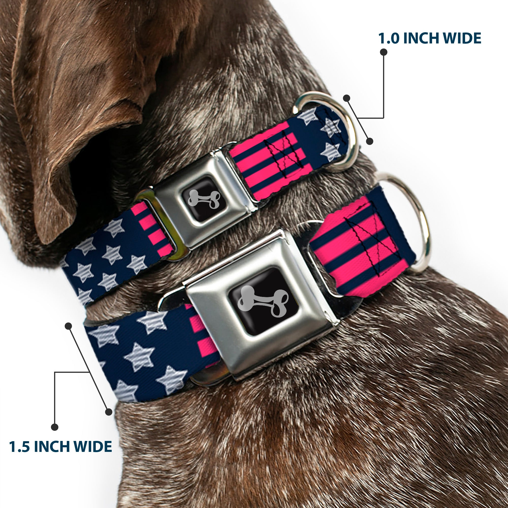 Dog Bone Seatbelt Buckle Collar - Stars & Stripes2 Blue/White/Pink Seatbelt Buckle Collars Buckle-Down