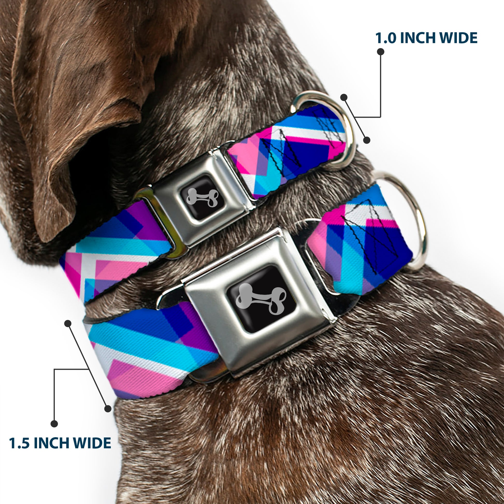 Dog Bone Seatbelt Buckle Collar - Squares Stacked Blues/Pinks/Purples Seatbelt Buckle Collars Buckle-Down