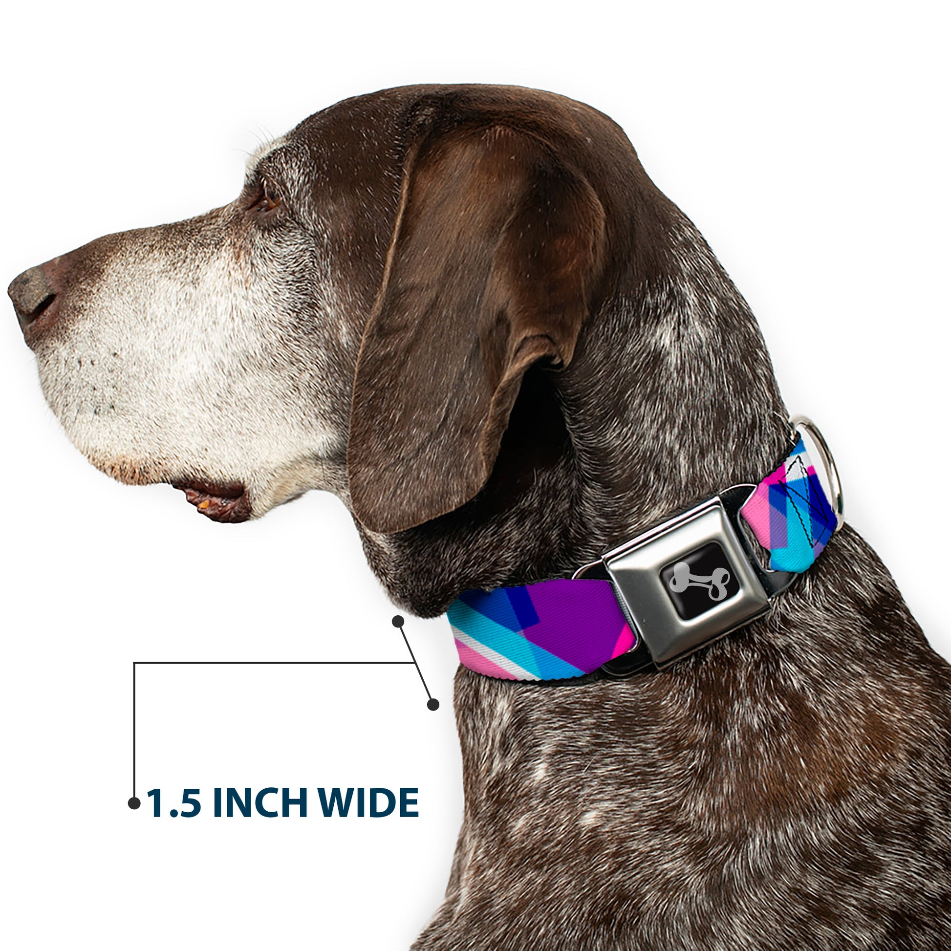 Dog Bone Seatbelt Buckle Collar - Squares Stacked Blues/Pinks/Purples Seatbelt Buckle Collars Buckle-Down