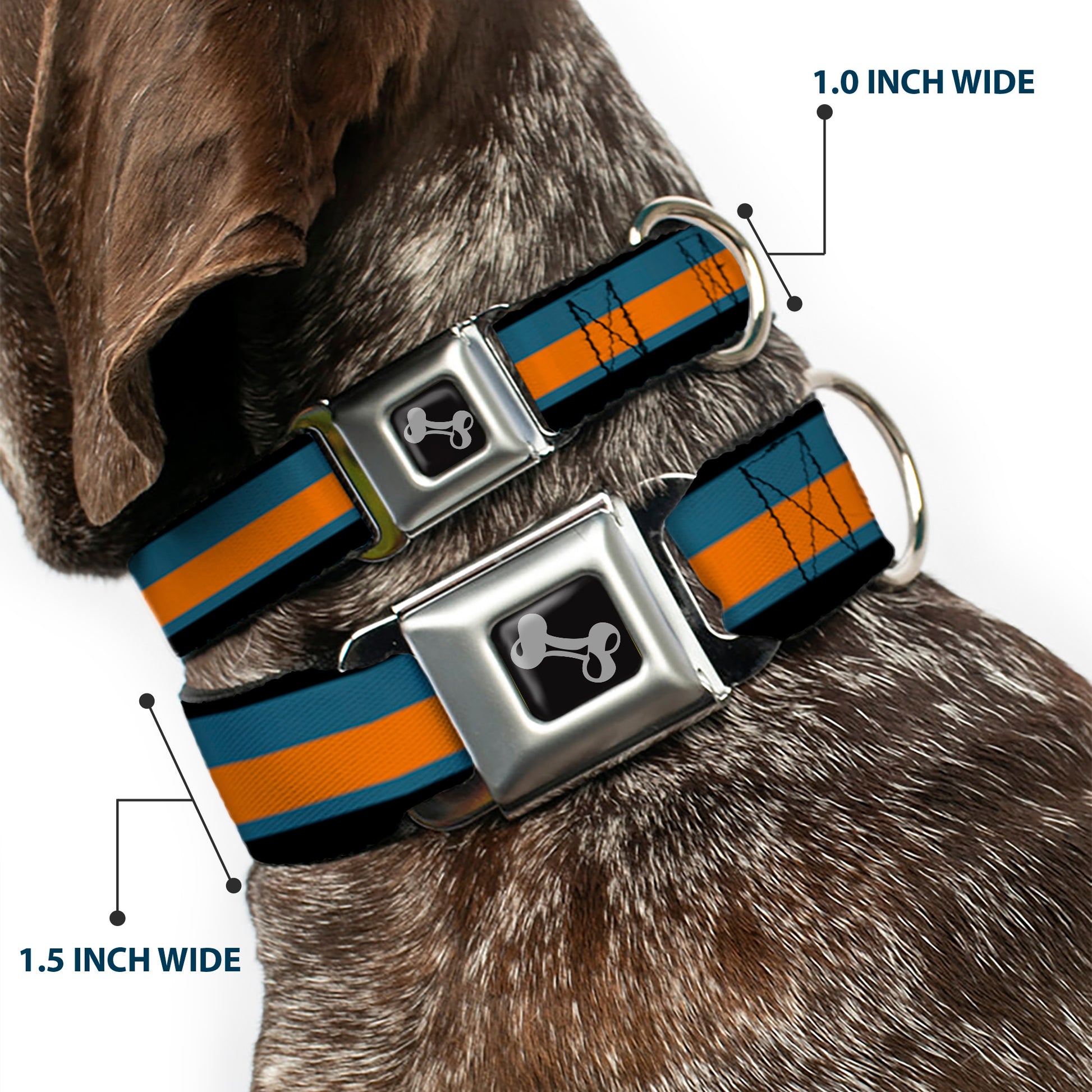 Dog Bone Black/Silver Seatbelt Buckle Collar - Stripes Black/Steel Blue/Orange Seatbelt Buckle Collars Buckle-Down