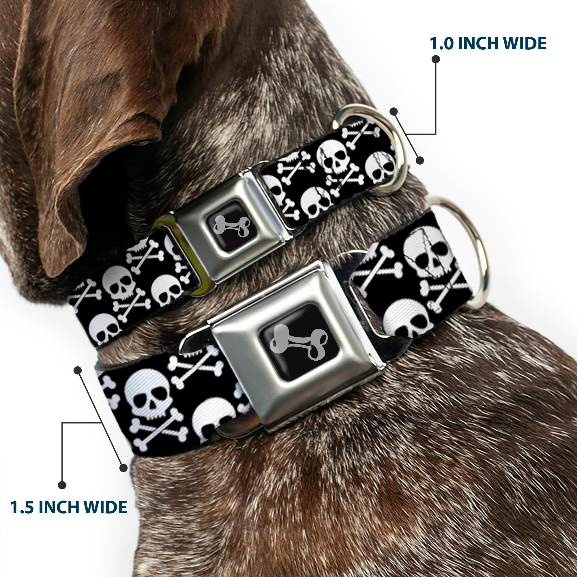 Dog Bone Black/Silver Seatbelt Buckle Collar - Skull & Cross Bones Staggered Black/White Seatbelt Buckle Collars Buckle-Down
