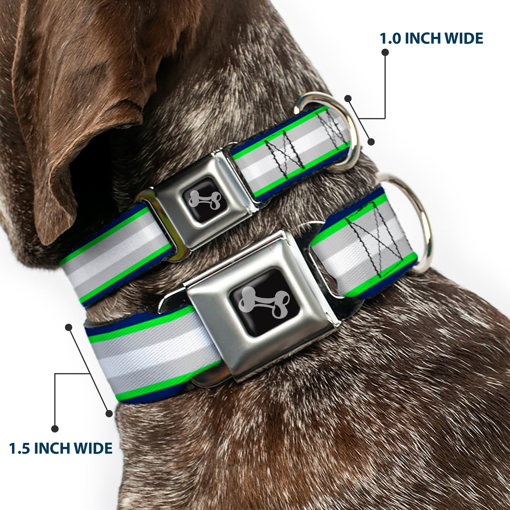 Dog Bone Black/Silver Seatbelt Buckle Collar - Stripes Navy/Neon Green/Silver/White Seatbelt Buckle Collars Buckle-Down