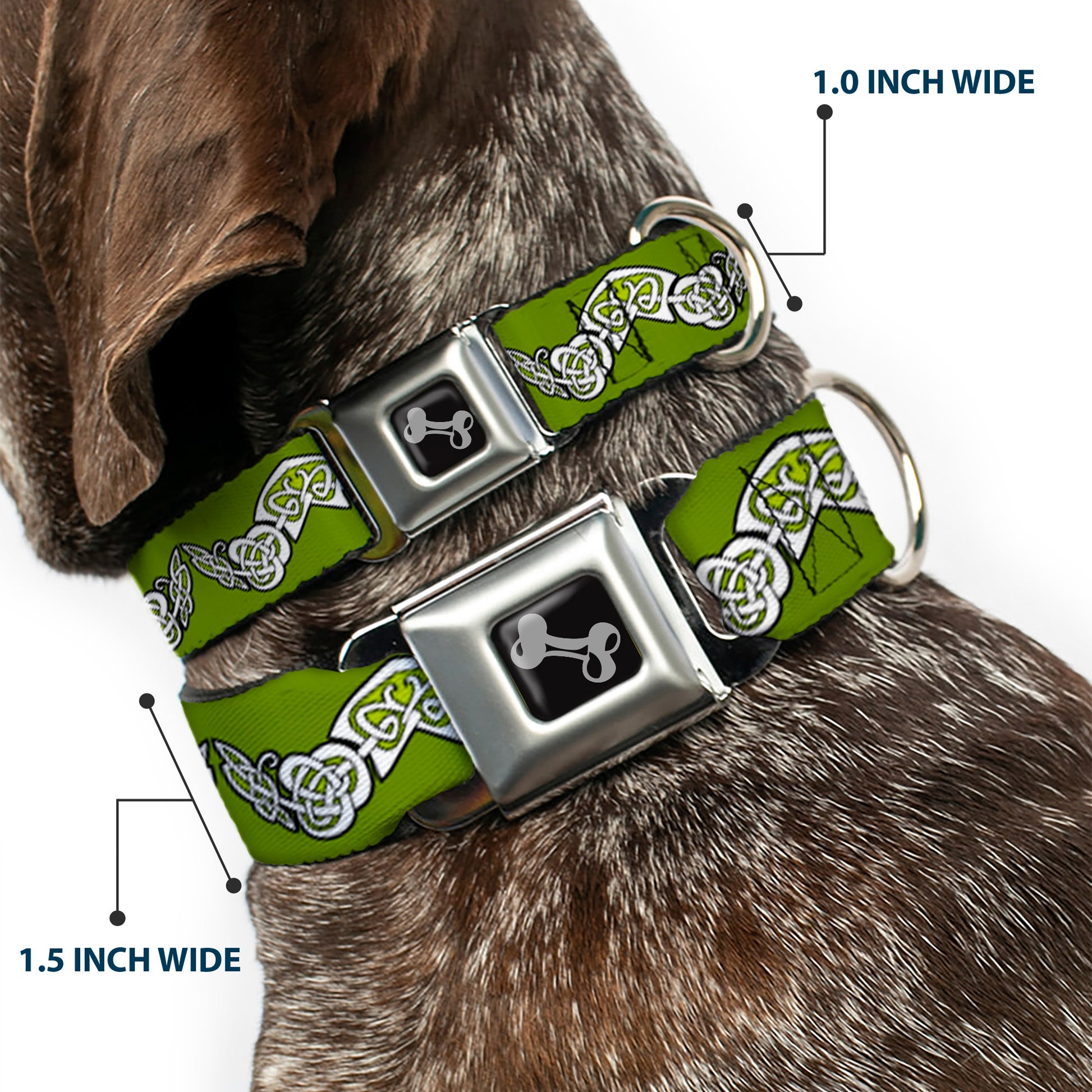 Dog Bone Seatbelt Buckle Collar - Celtic Knot3 Olives/Black/White Seatbelt Buckle Collars Buckle-Down