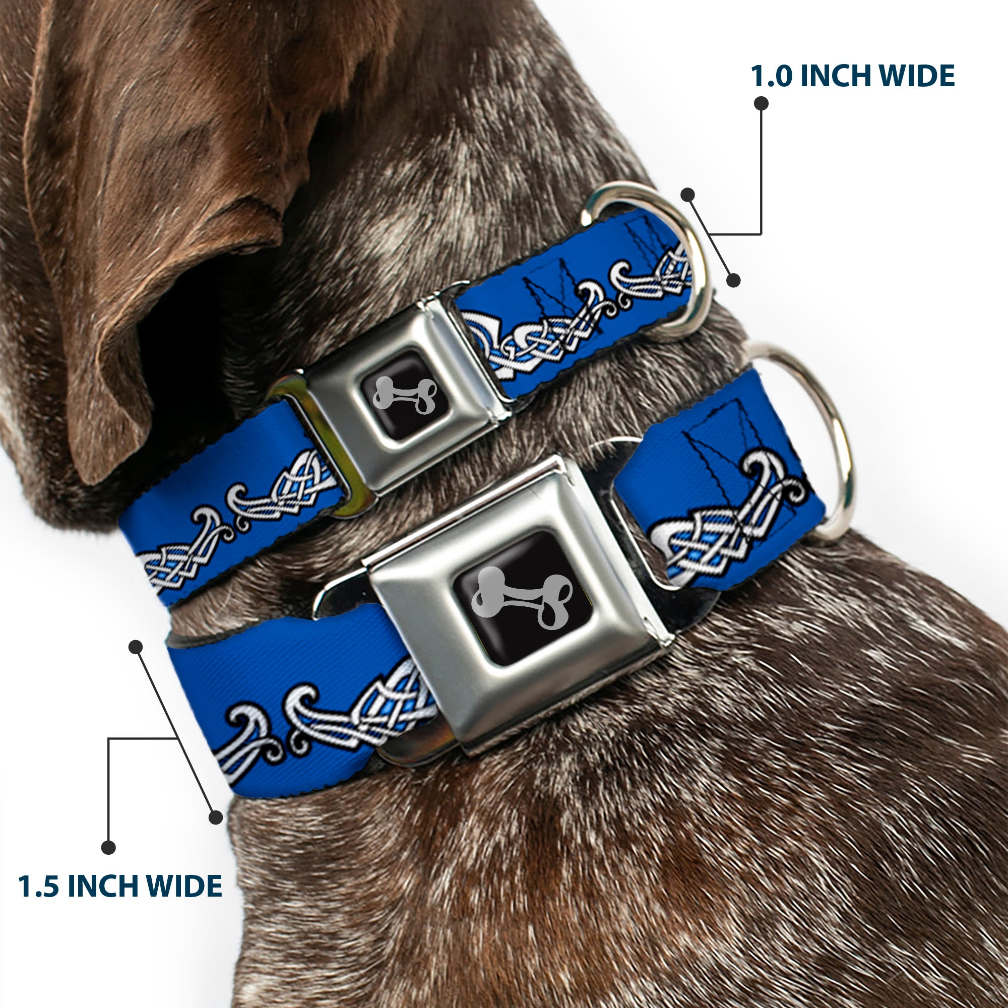 Dog Bone Seatbelt Buckle Collar - Celtic Knot4 Blues/Black/White Seatbelt Buckle Collars Buckle-Down