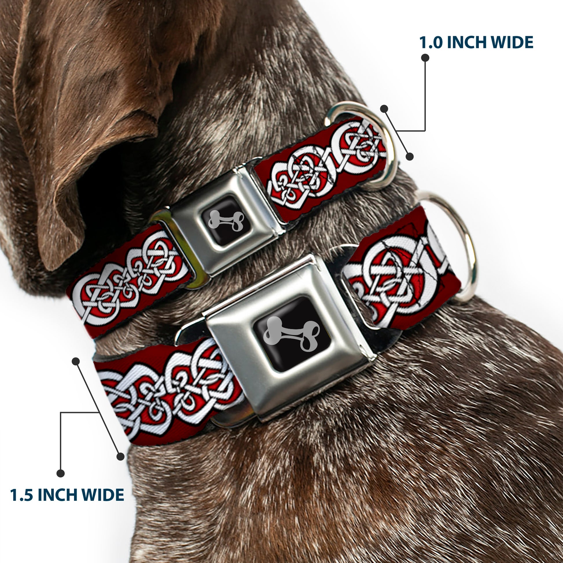 Dog Bone Seatbelt Buckle Collar - Celtic Knot5 Reds/Black/White Seatbelt Buckle Collars Buckle-Down