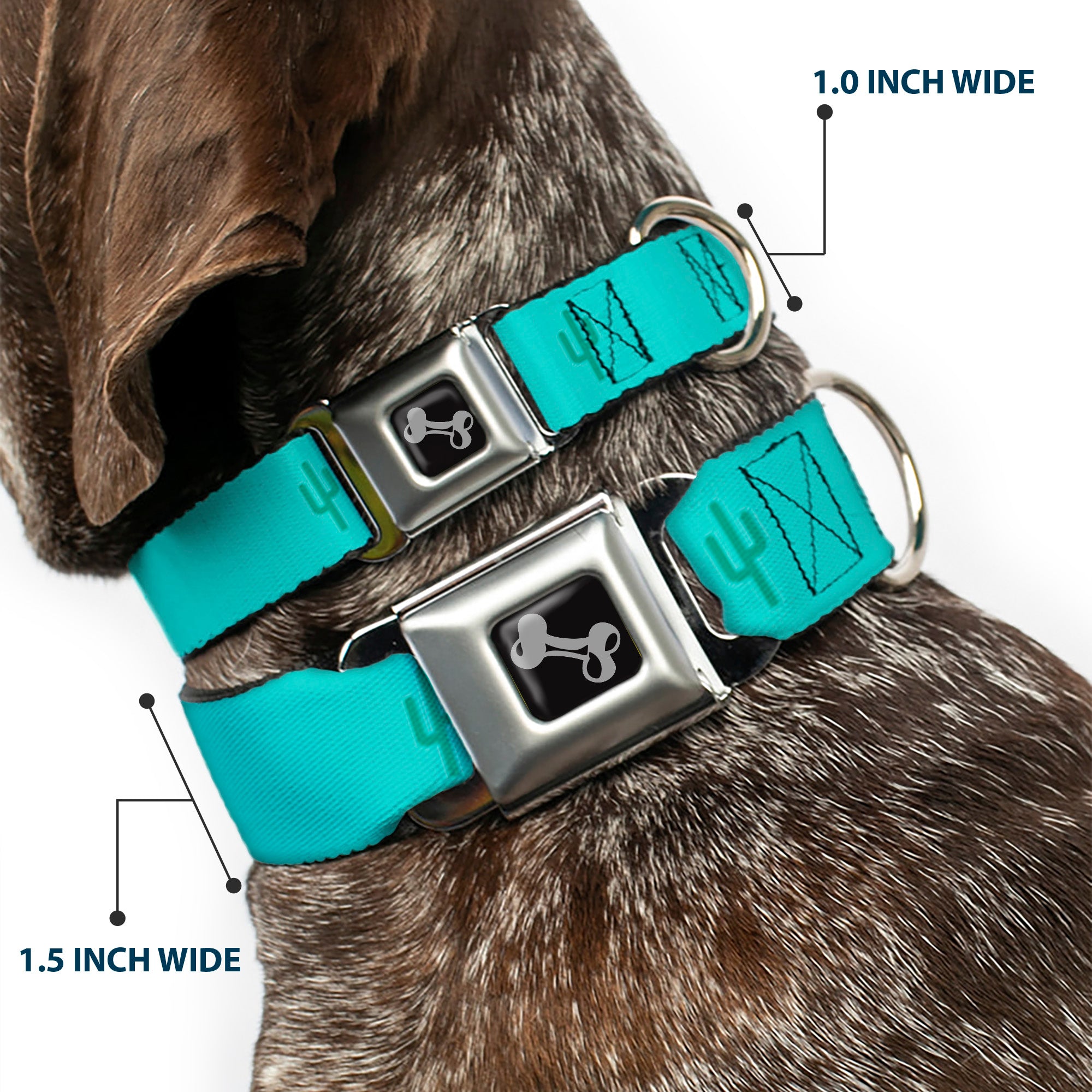 Dog Bone Seatbelt Buckle Collar - Cacti1 Aqua Blues Seatbelt Buckle Collars Buckle-Down