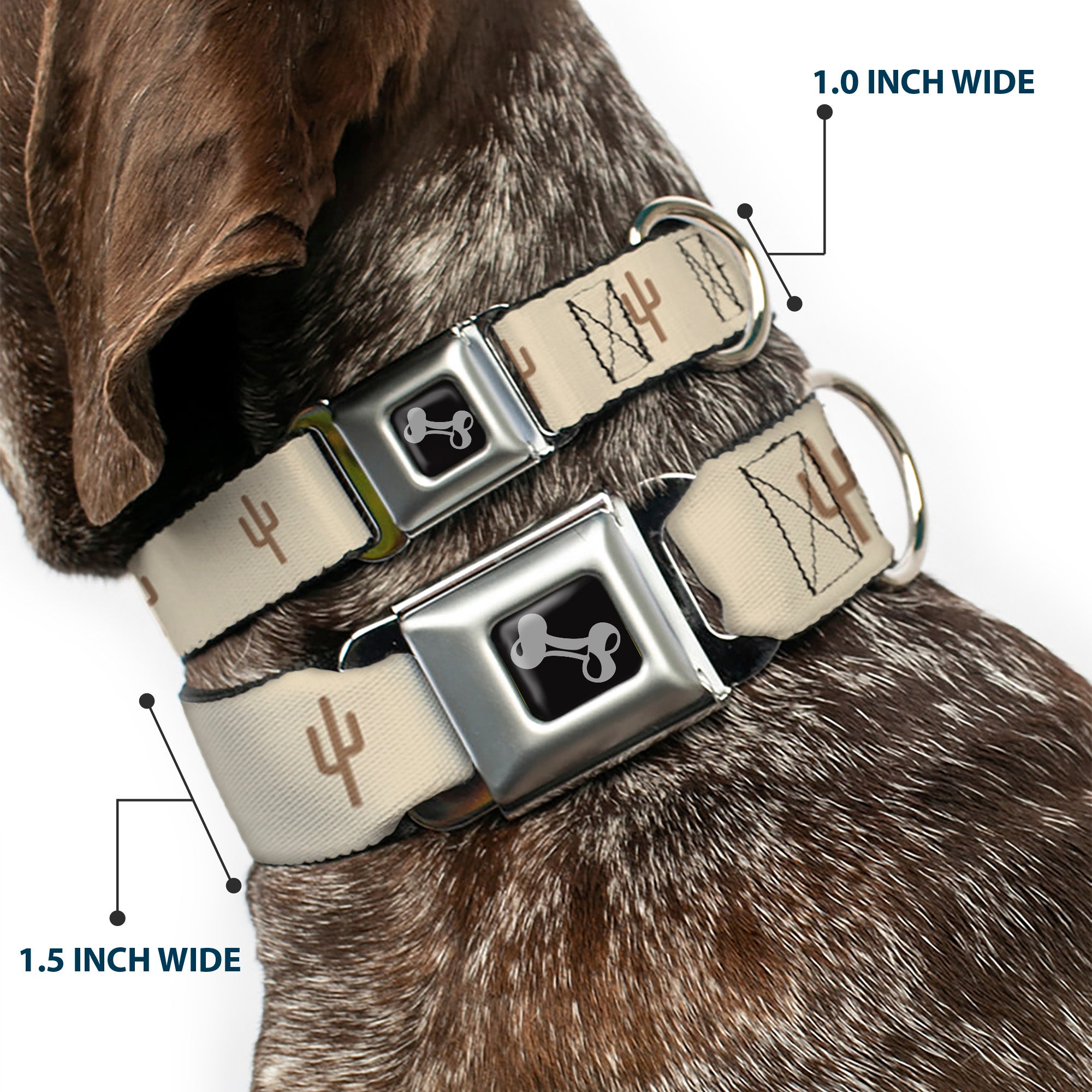 Dog Bone Seatbelt Buckle Collar - Cacti2 Tans Seatbelt Buckle Collars Buckle-Down
