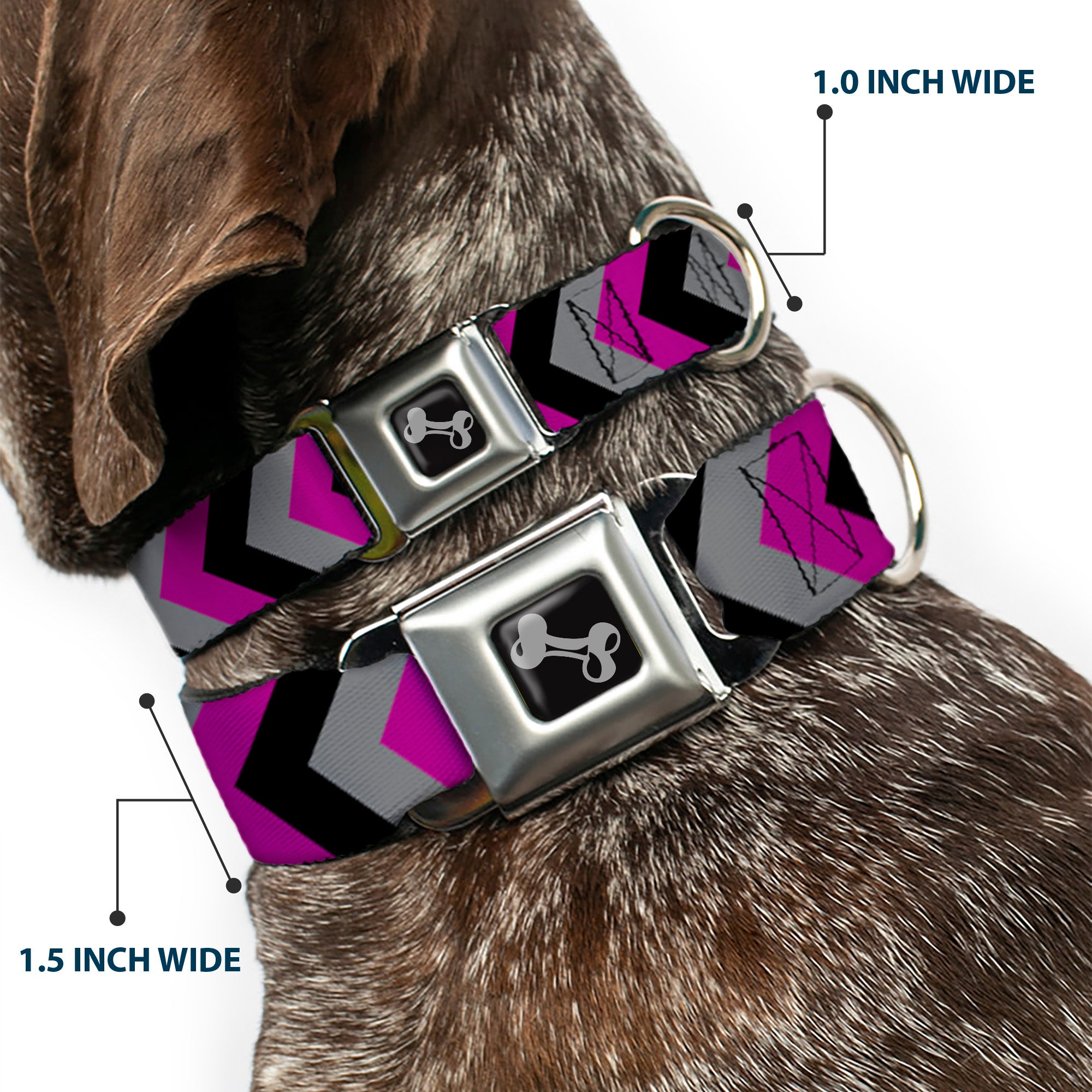 Dog Bone Seatbelt Buckle Collar - Chevron Purple/Black/Gray Seatbelt Buckle Collars Buckle-Down